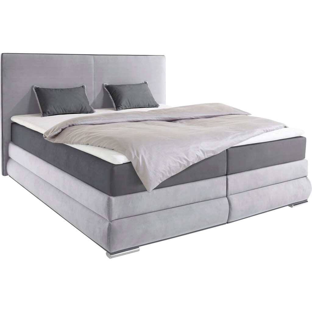 COLLECTION AB Boxspringbett