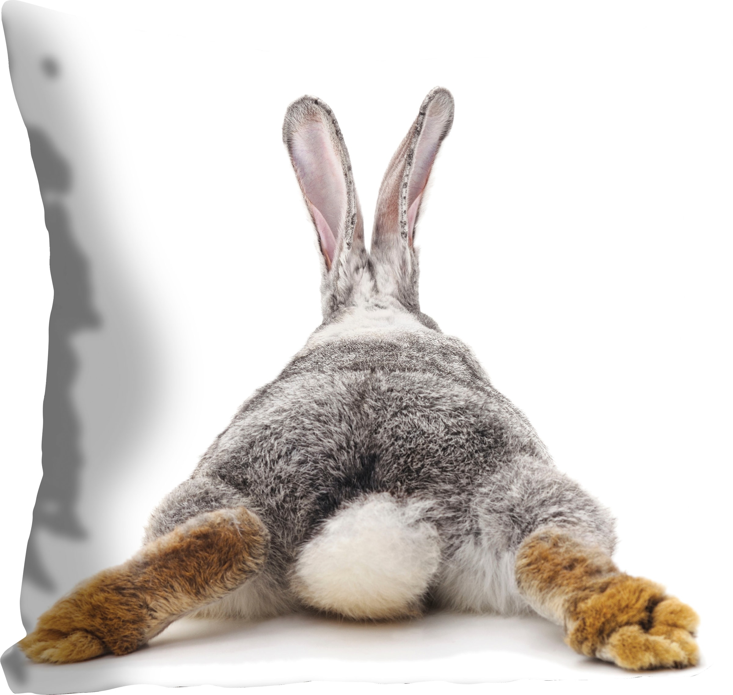 queence Dekokissen "Rabbit Tail" mit einem Hasenschwanz günstig online kaufen