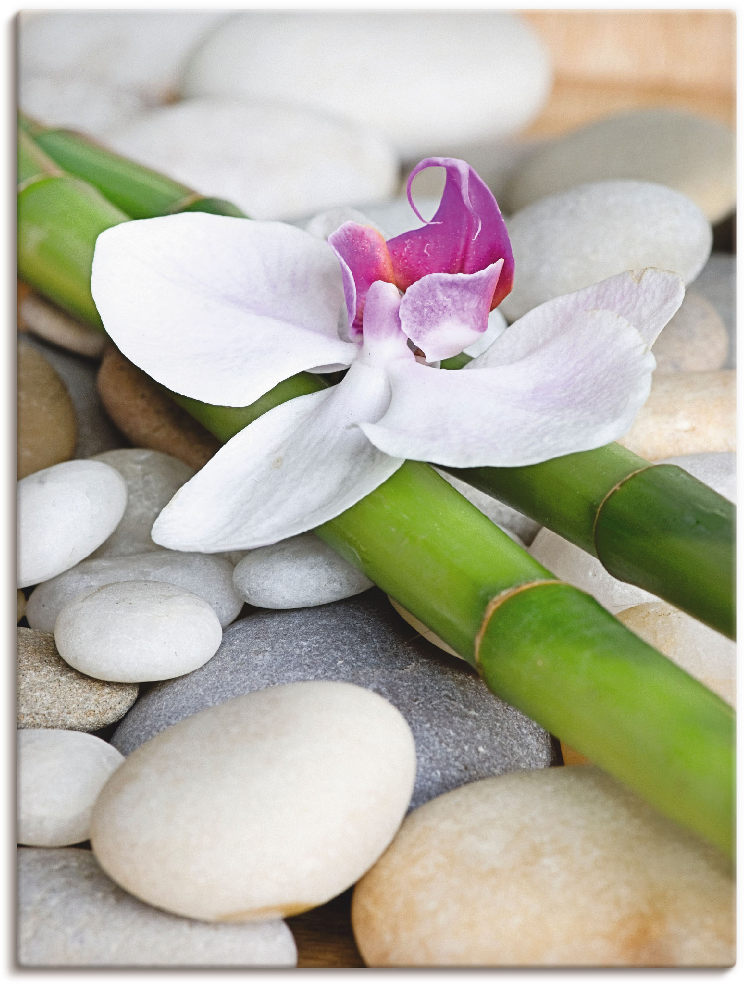 Artland Leinwandbild "Zen Orchidee" Zen 1 Stk. tlg. auf Holzrahmen gespannt