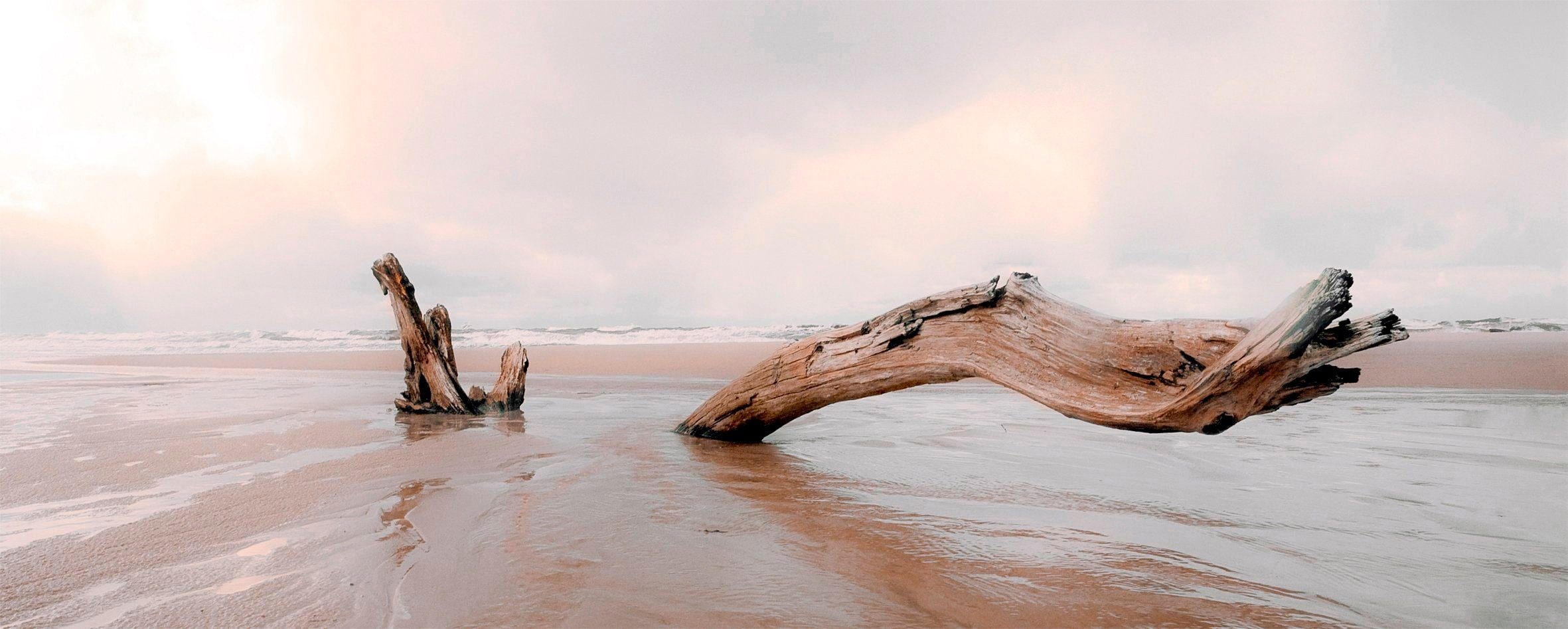 Leinwandbild »Treibholz«, Strand