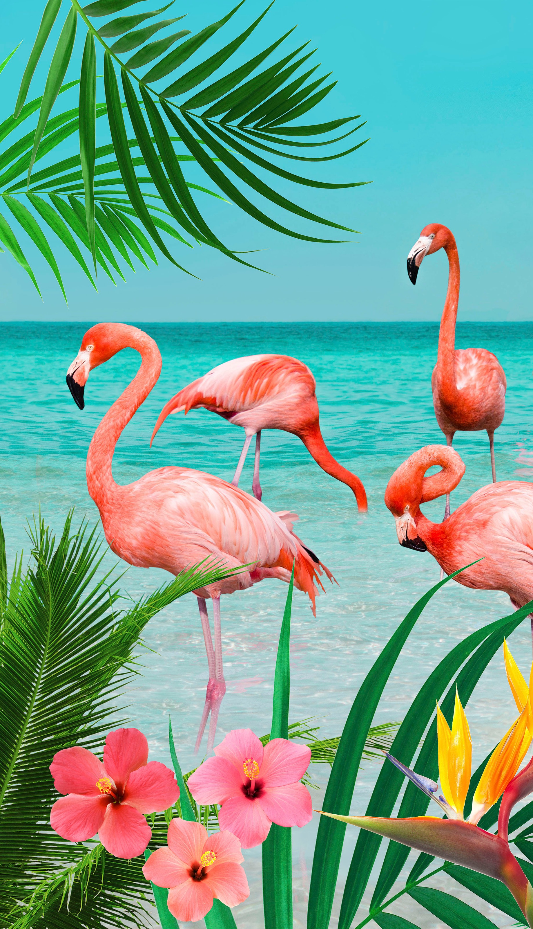 good morning Strandtuch "Flamingo" Mikrofaser, 100x180, Schnelltrocknend, E günstig online kaufen