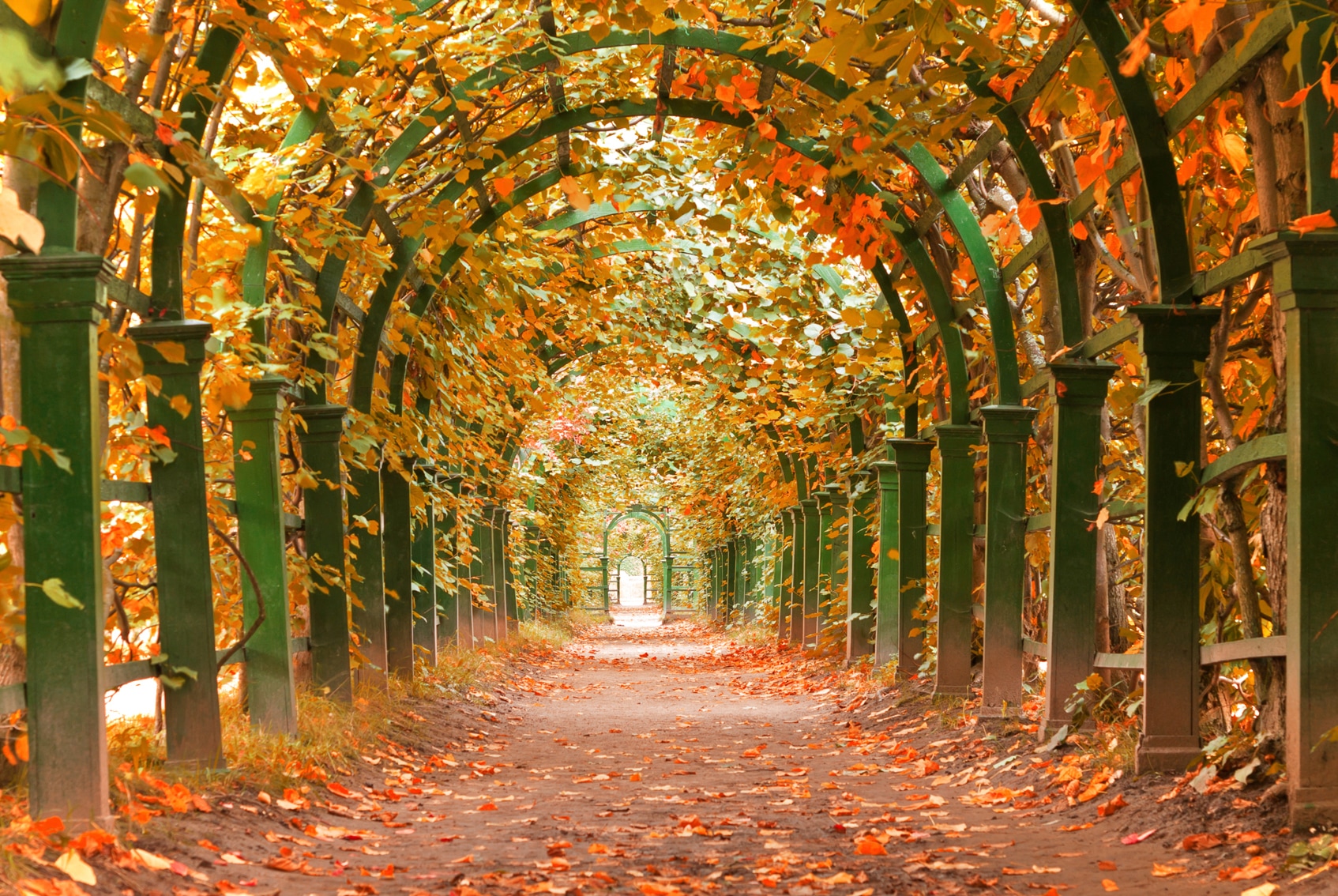 Papermoon Fototapete "Autumn Garden" glatt