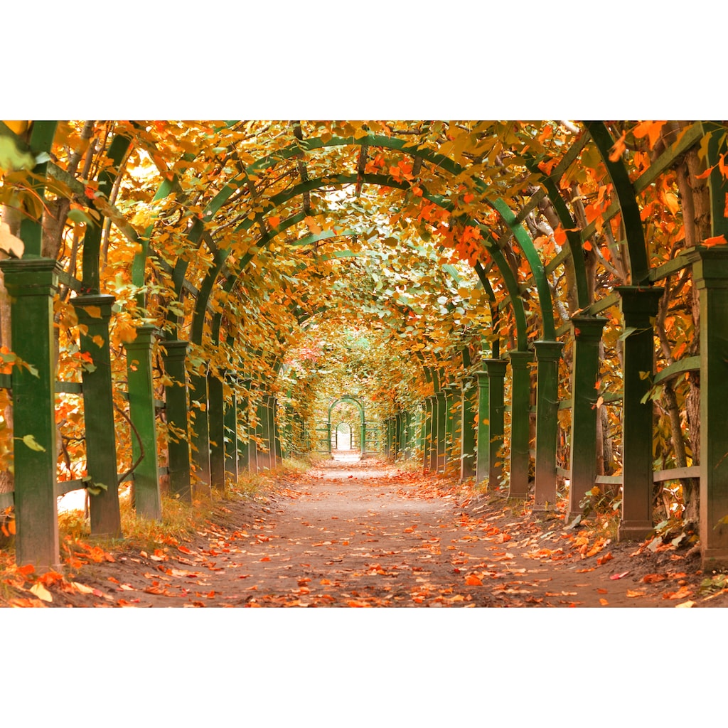 Papermoon Fototapete »Autumn Garden«