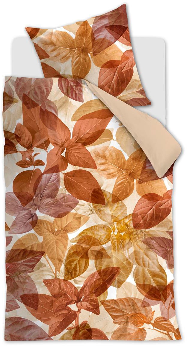 Beddinghouse Bettwäsche "Amber" 2 Stk. günstig online kaufen