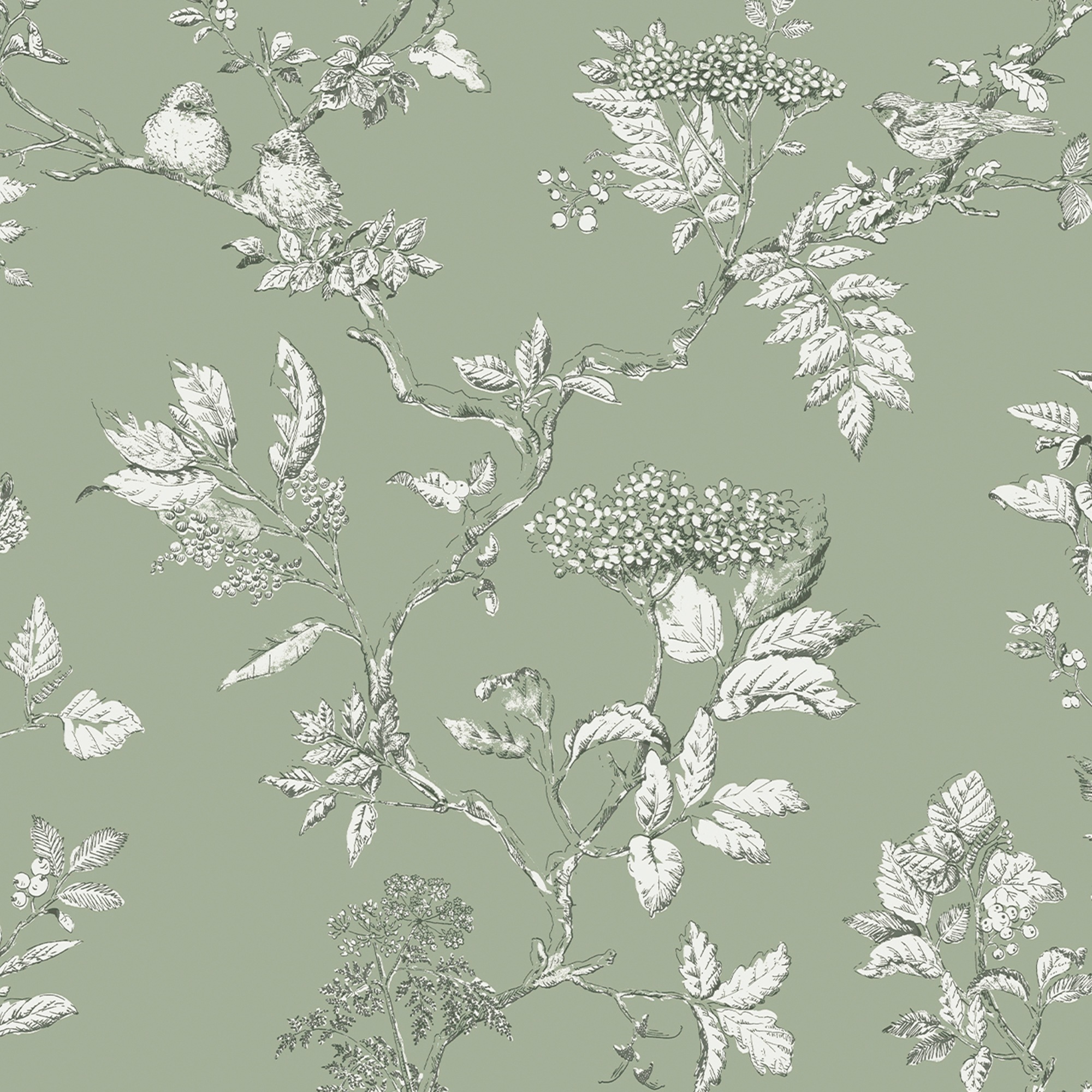 Papier peint intissé Laura Ashley Branches Elderwood Sage 1005 x 52cm Vert doux