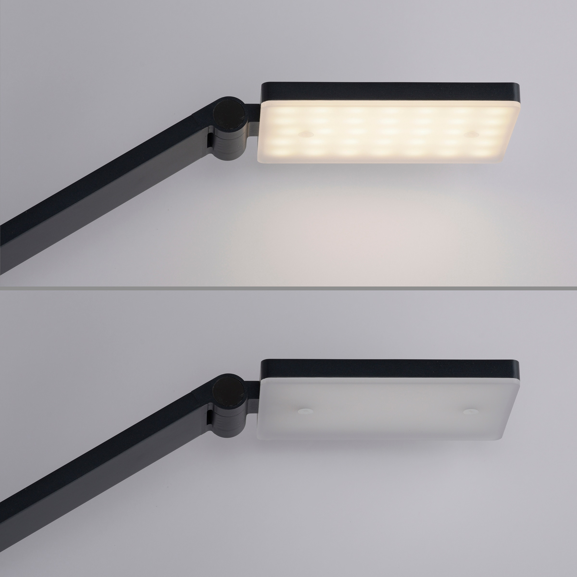Paul Neuhaus LED Stehlampe »SAMSKY« LED-Board 1 Stk. warmweiß - kaltweiß Tastdimmer, CCT 2700-5000K, Memory, Höhenverstellbar