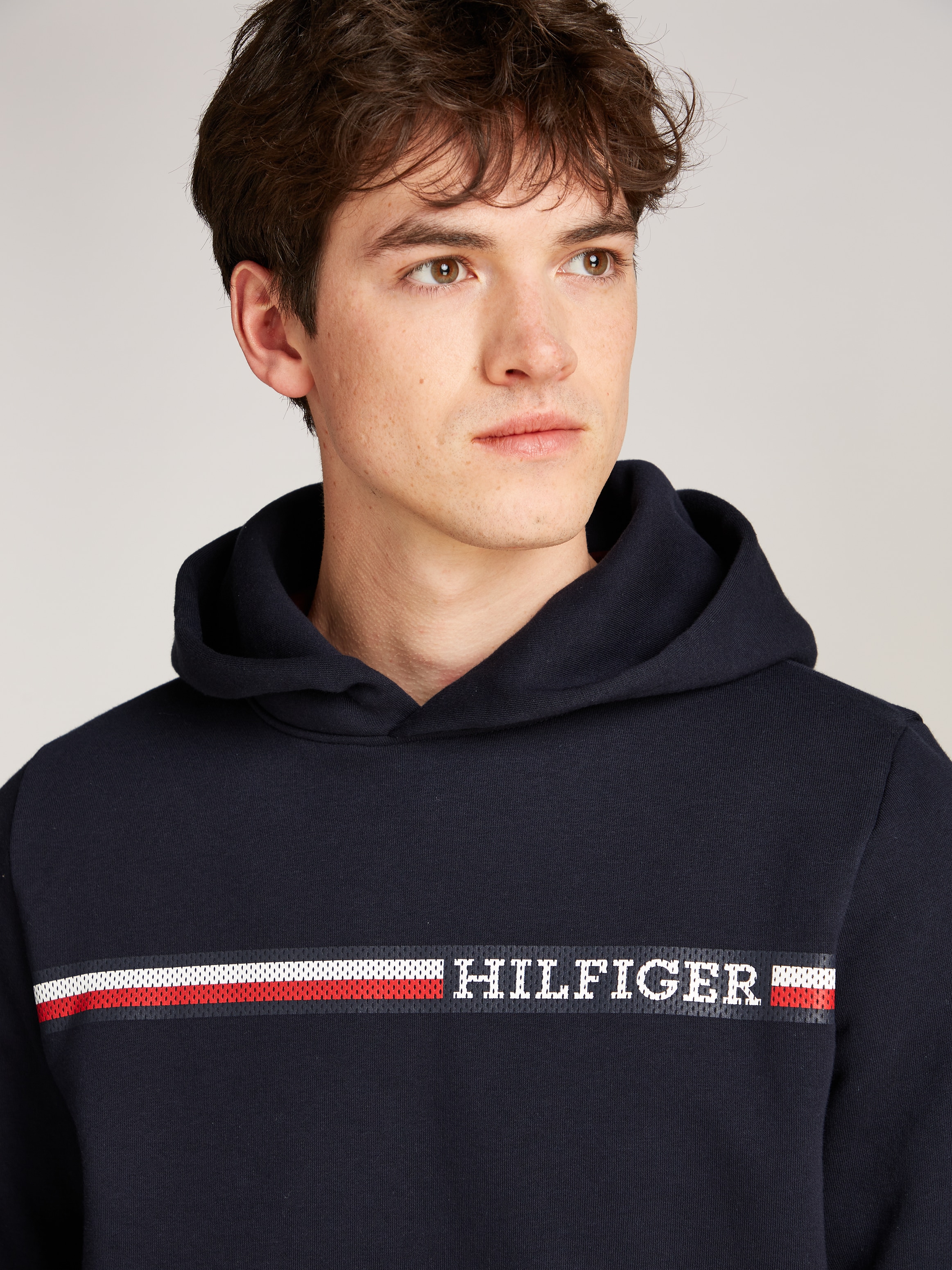 Tommy hilfiger stripe logo hoodie sales