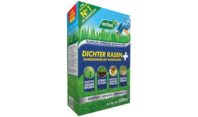 Westland Rasendünger »Dichter Rasen«, mit Rasensamen, 3,5 kg, für ca. 100m² kaufen