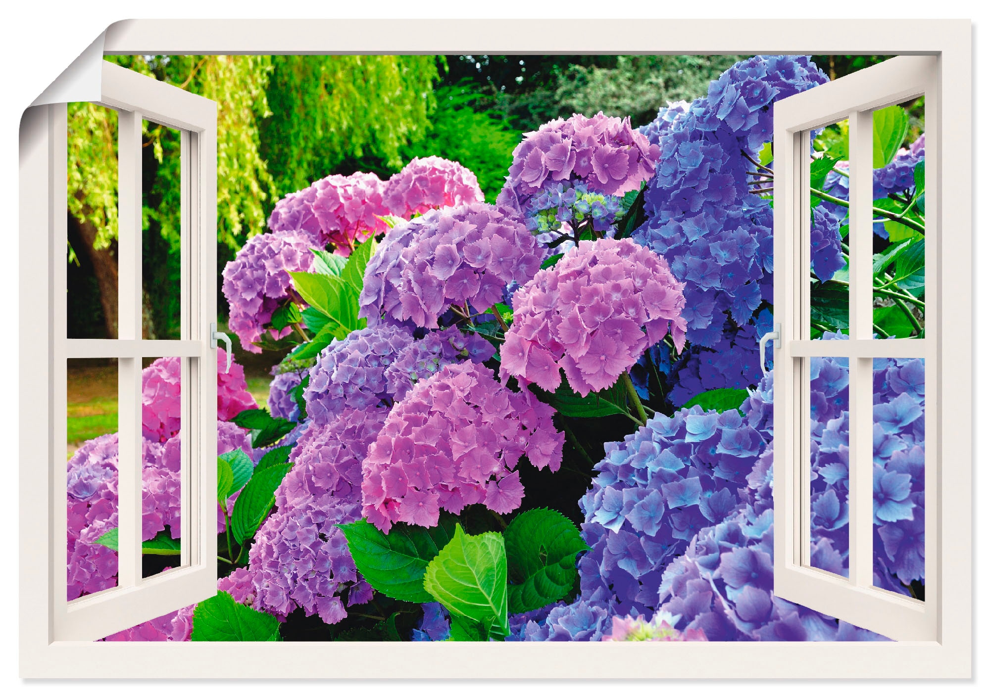 Artland Wandbild "Fensterblick Hortensien im Garten", Blumen, (1 St.), als Leinwandbild, Poster in verschied. Größen