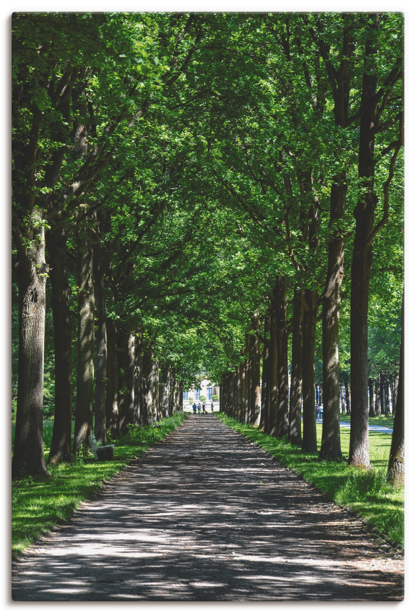 Artland Leinwandbild "Allee in der Karlsaue in Kassel", Bäume, (1 St.), auf Keilrahmen gespannt