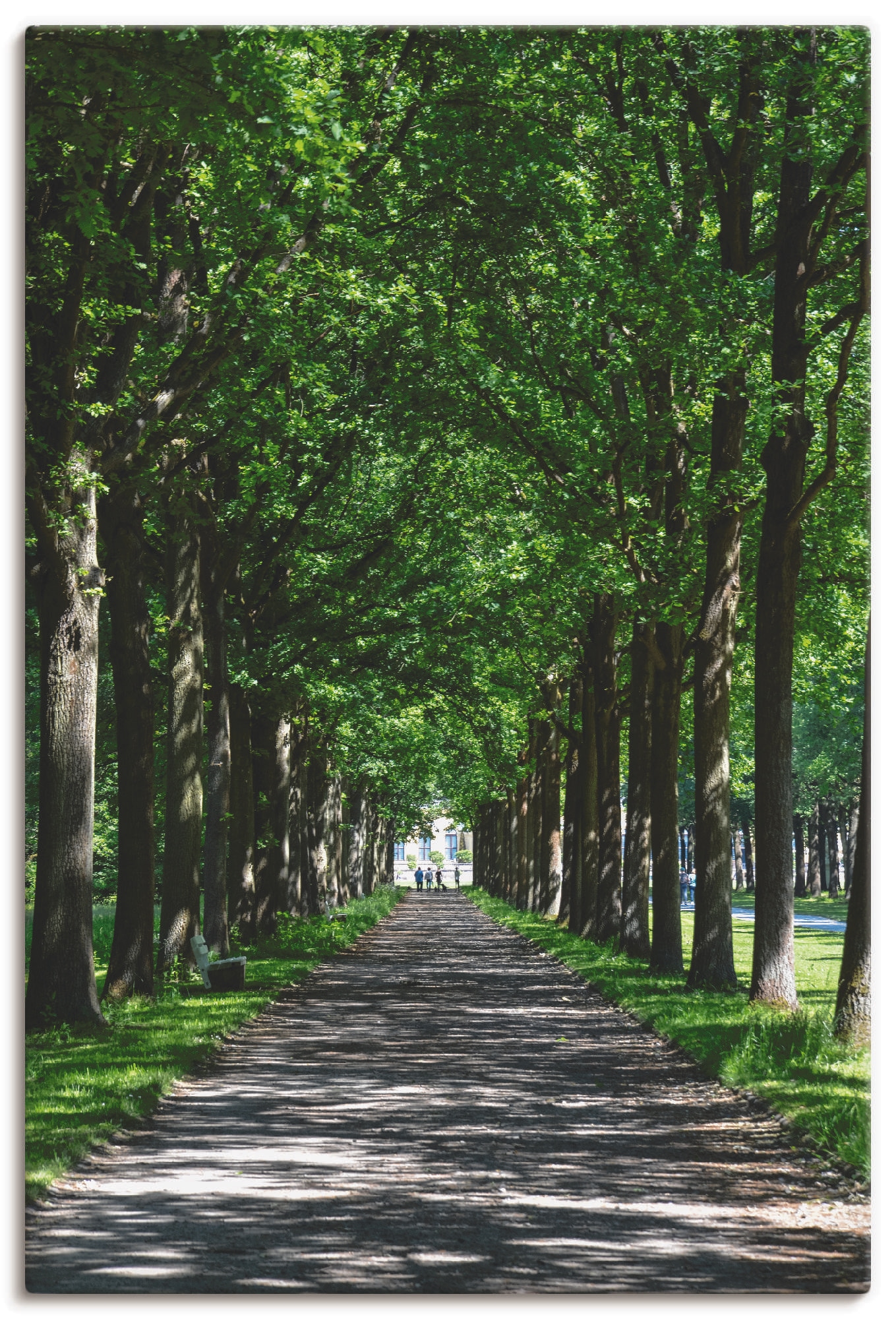 Artland Leinwandbild "Allee in der Karlsaue in Kassel" Bäume 1 Stk. tlg. auf Holzrahmen gespannt