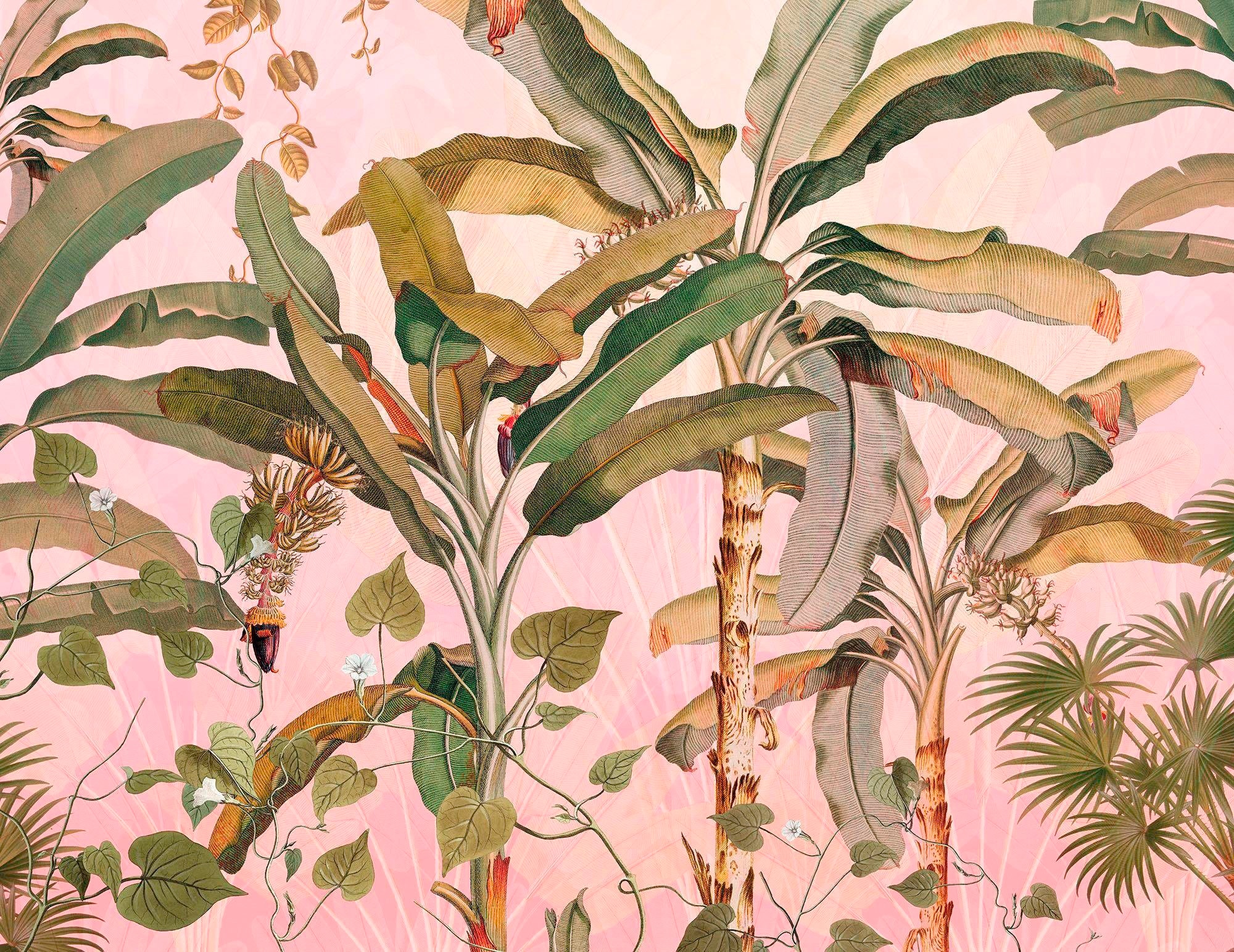 Komar Vliestapete »Plantation« 350x270 cm (B...
