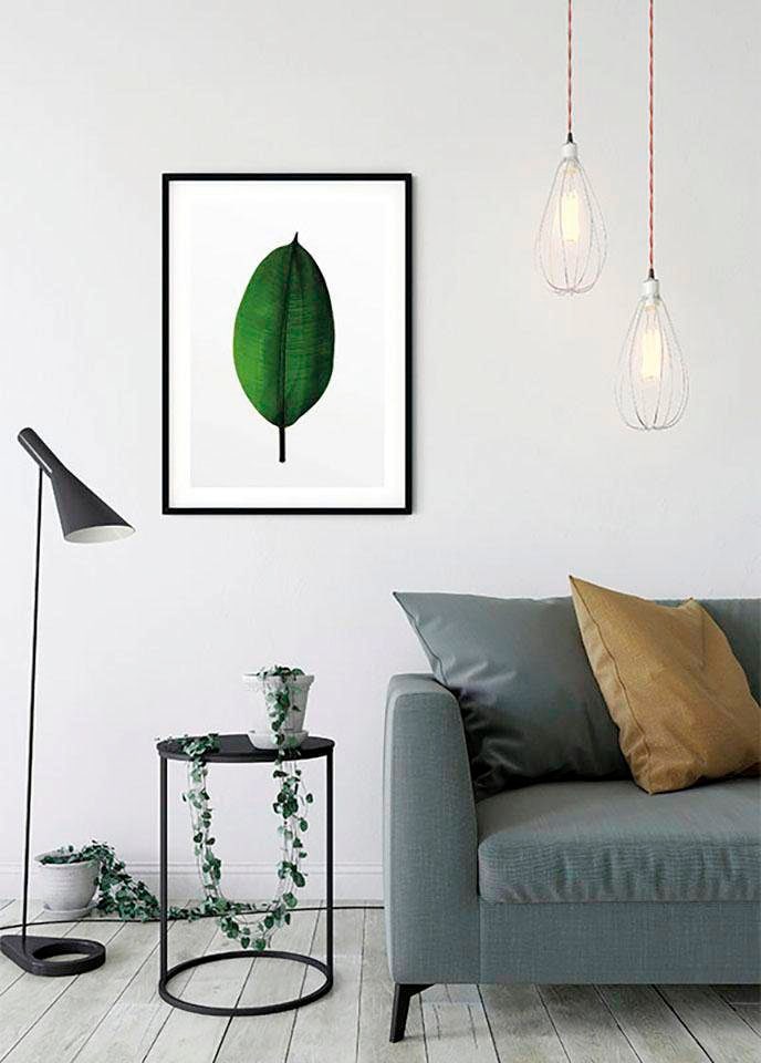 Komar Bild »Ficus Leaf«, Pflanzen-Blätter, (1 St.), Wandbild zur Dekoration - ohne Rahmen