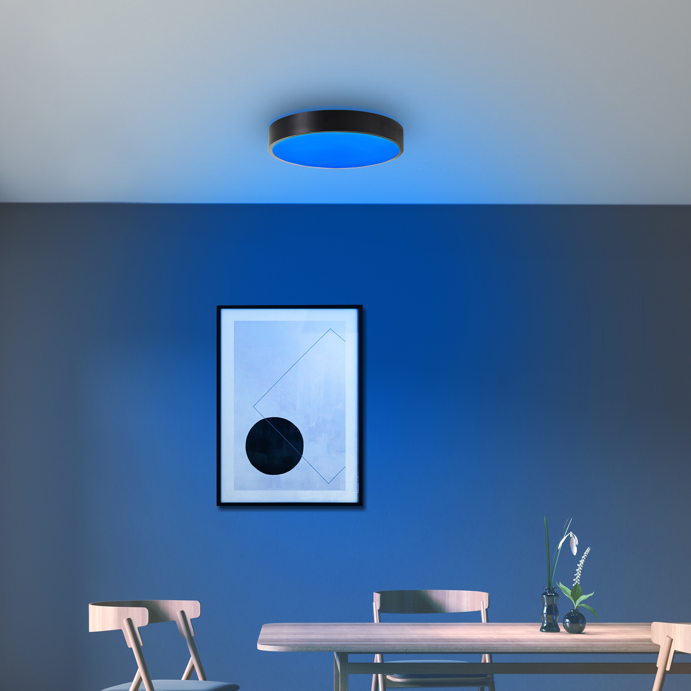 Brilliant LED Deckenleuchte »Vadin«, Tuya App steuerbar, 33 cm, RGB, 2300 lm, dimmbar, 3000-6500 K, schwarz