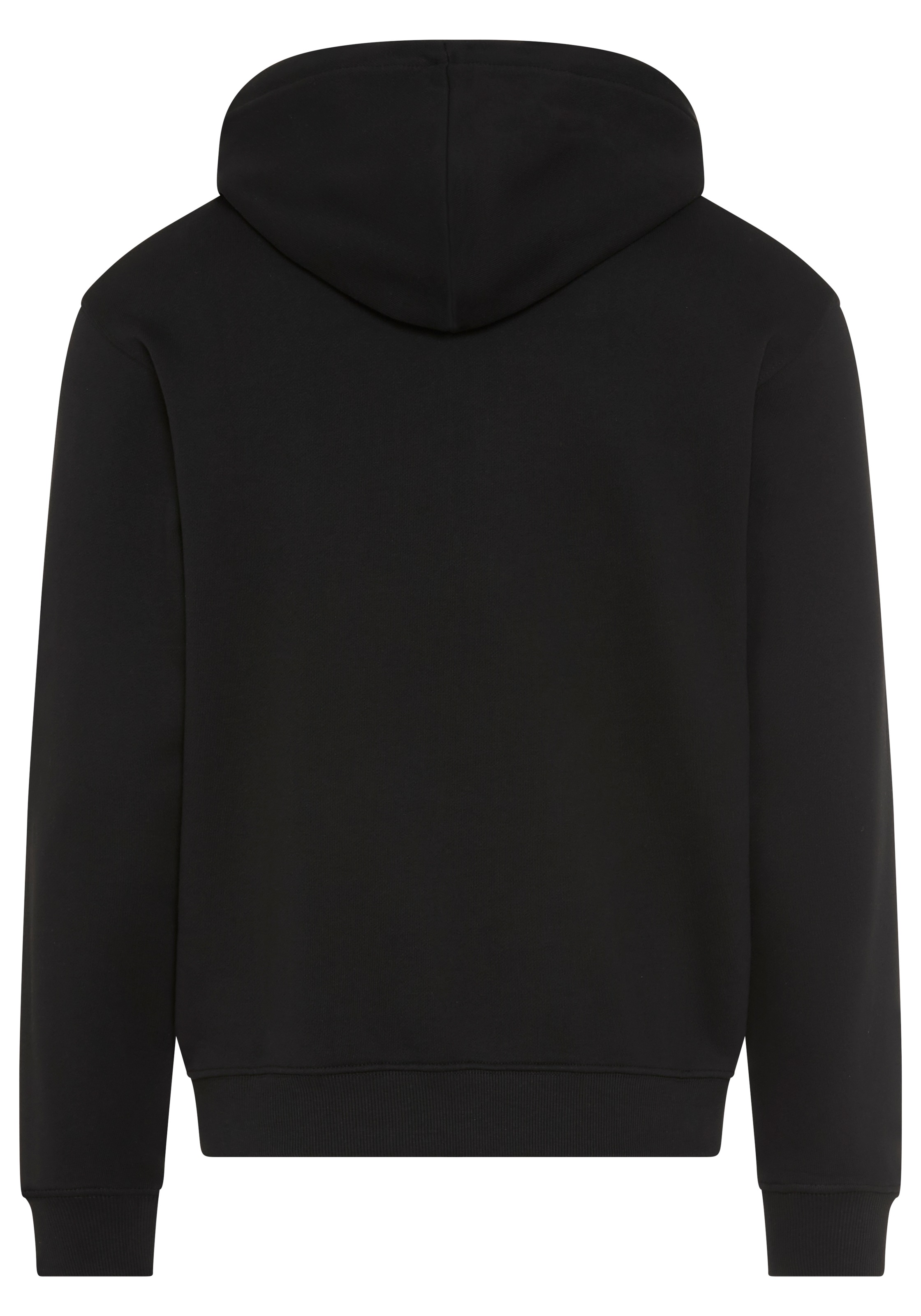 Replay Kapuzensweatjacke aus Baumwolle, Regular Fit günstig online kaufen