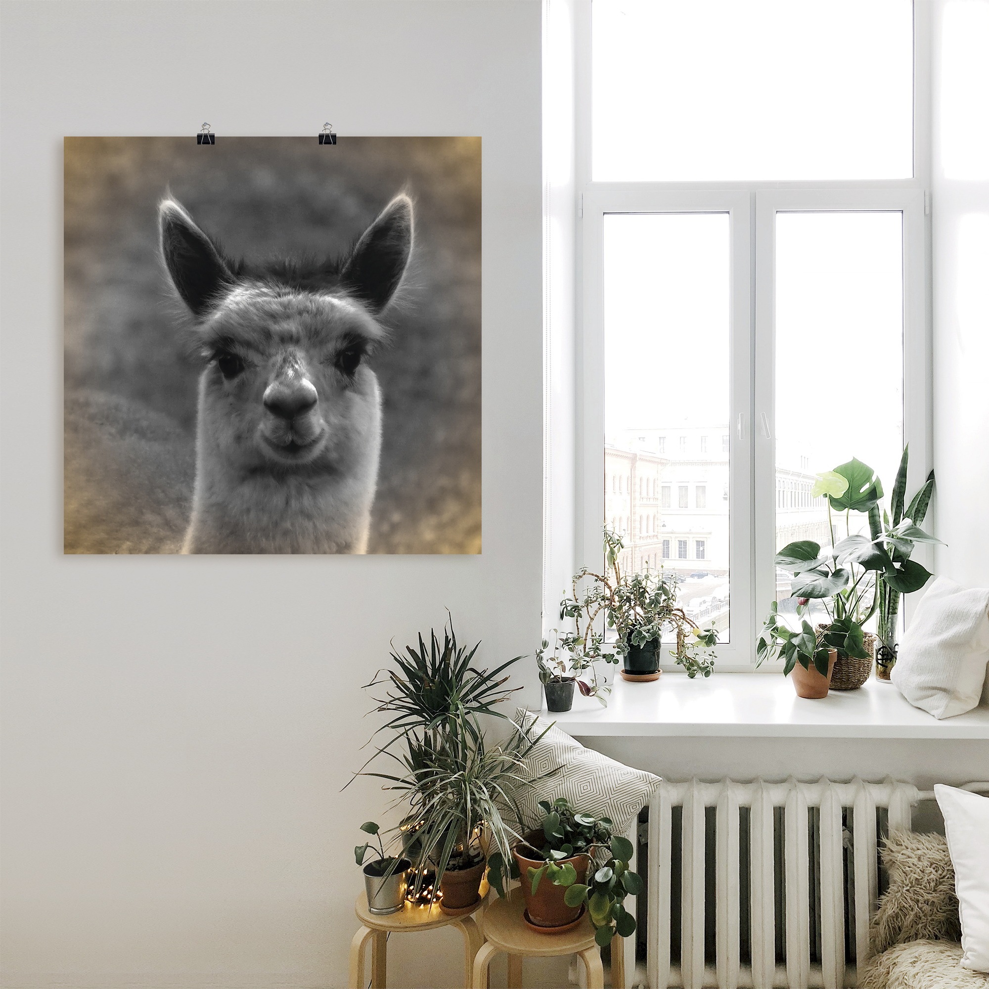 Artland »Alpaka Blick« Wildtiere 1 Stk. tlg. ohne Rahmen