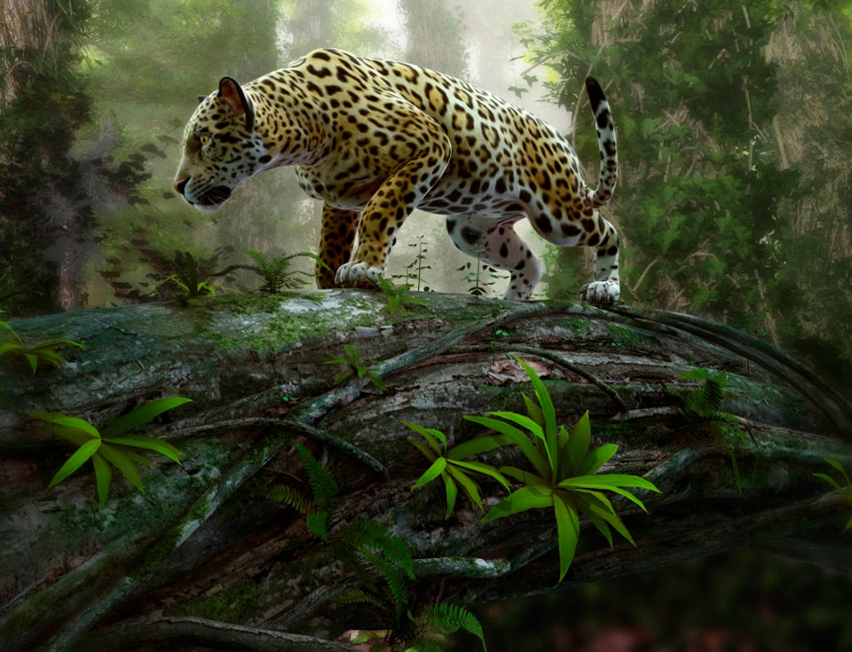 Papermoon Fototapete "Jaguar on the Prowl" glatt