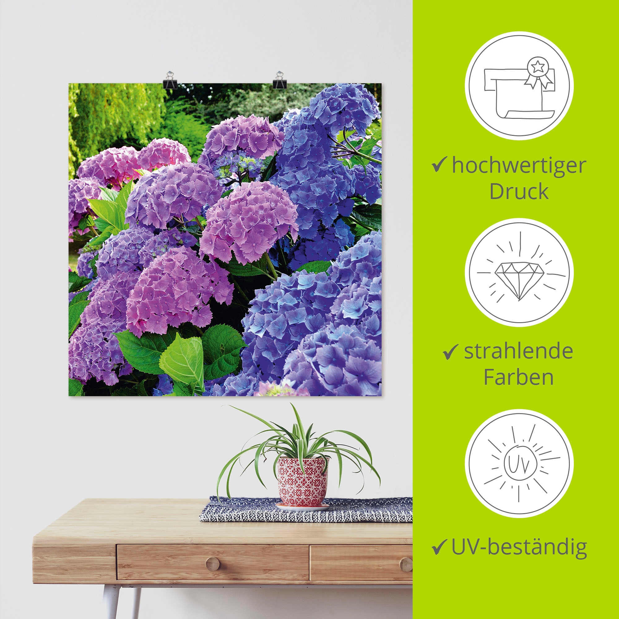 Artland Wandbild »Hortensien im Garten« 1 Stk. tlg. als Alubild, Outdoorbild, Leinwandbild, Poster, Wandaufkleber