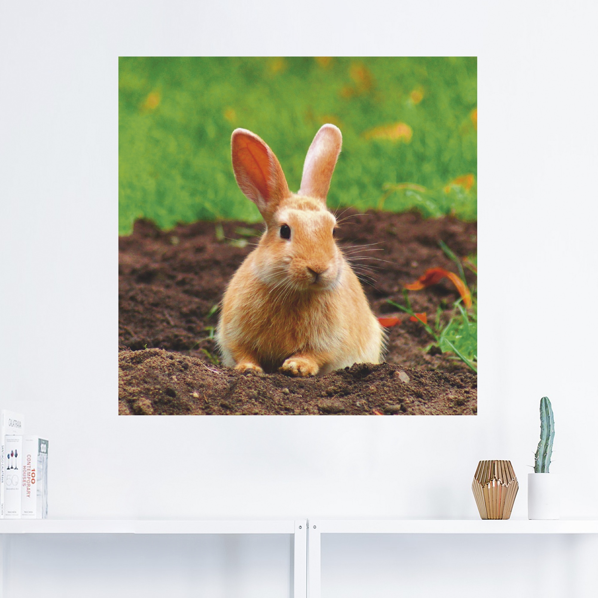 Artland Wandbild »Glückliches Zwergkaninchen«, Wildtiere, (1 St.), als Leinwandbild, Wandaufkleber in verschied. Größen