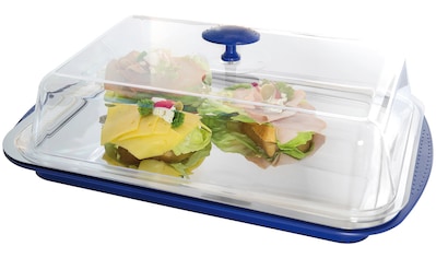 APS Tortenplatte, Kühlfunktion durch 2 Kühlakkus kaufen