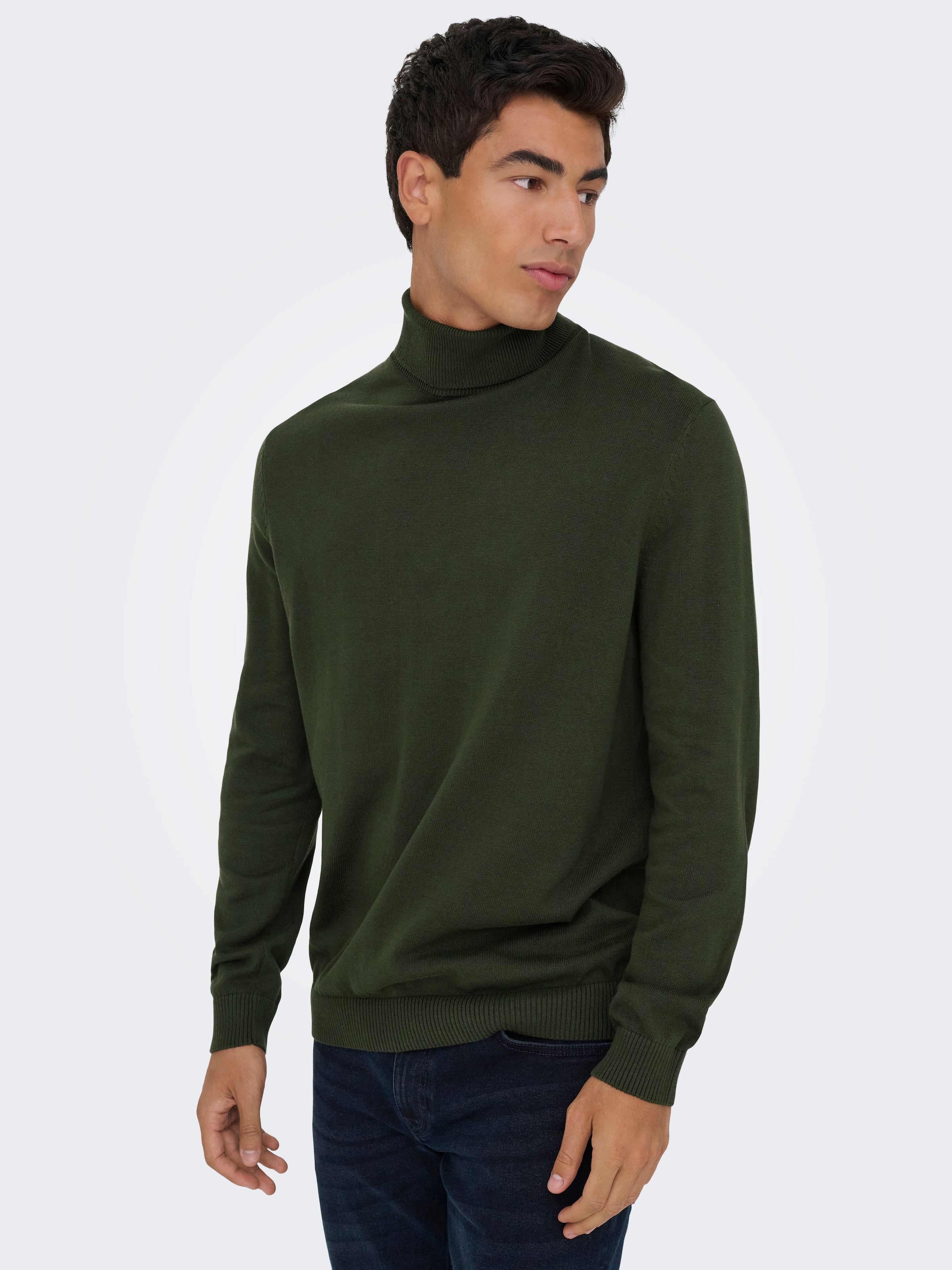 ONLY & SONS Rollkragenpullover "ONSHOLGER REG ROLL NECK KNIT - OTL" günstig online kaufen