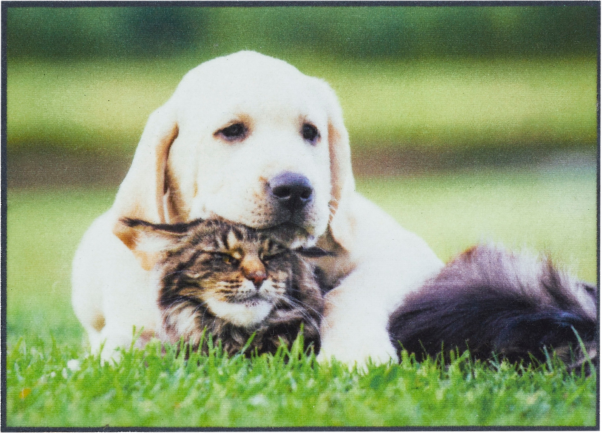 Andiamo Fußmatte "Modern" rechteckig 6,5 mm Höhe Schmutzfangmatte, bedruckt günstig online kaufen