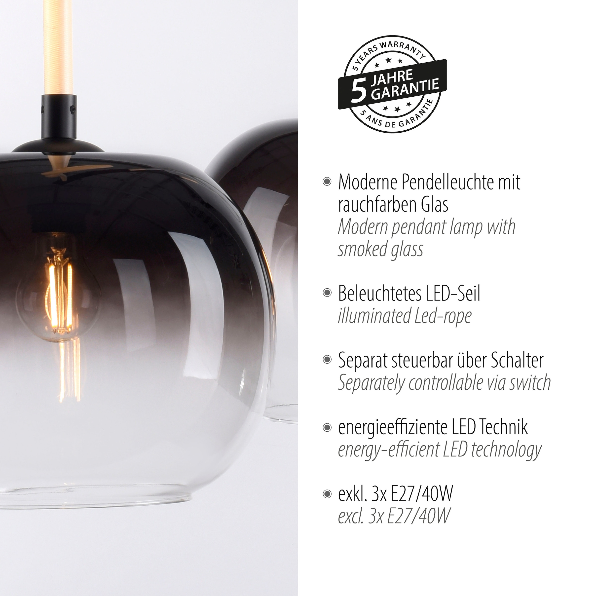 Paul Neuhaus Pendelleuchte »LUMA«, 6 flammig, Leuchtmittel LED-Board | LED fest integriert