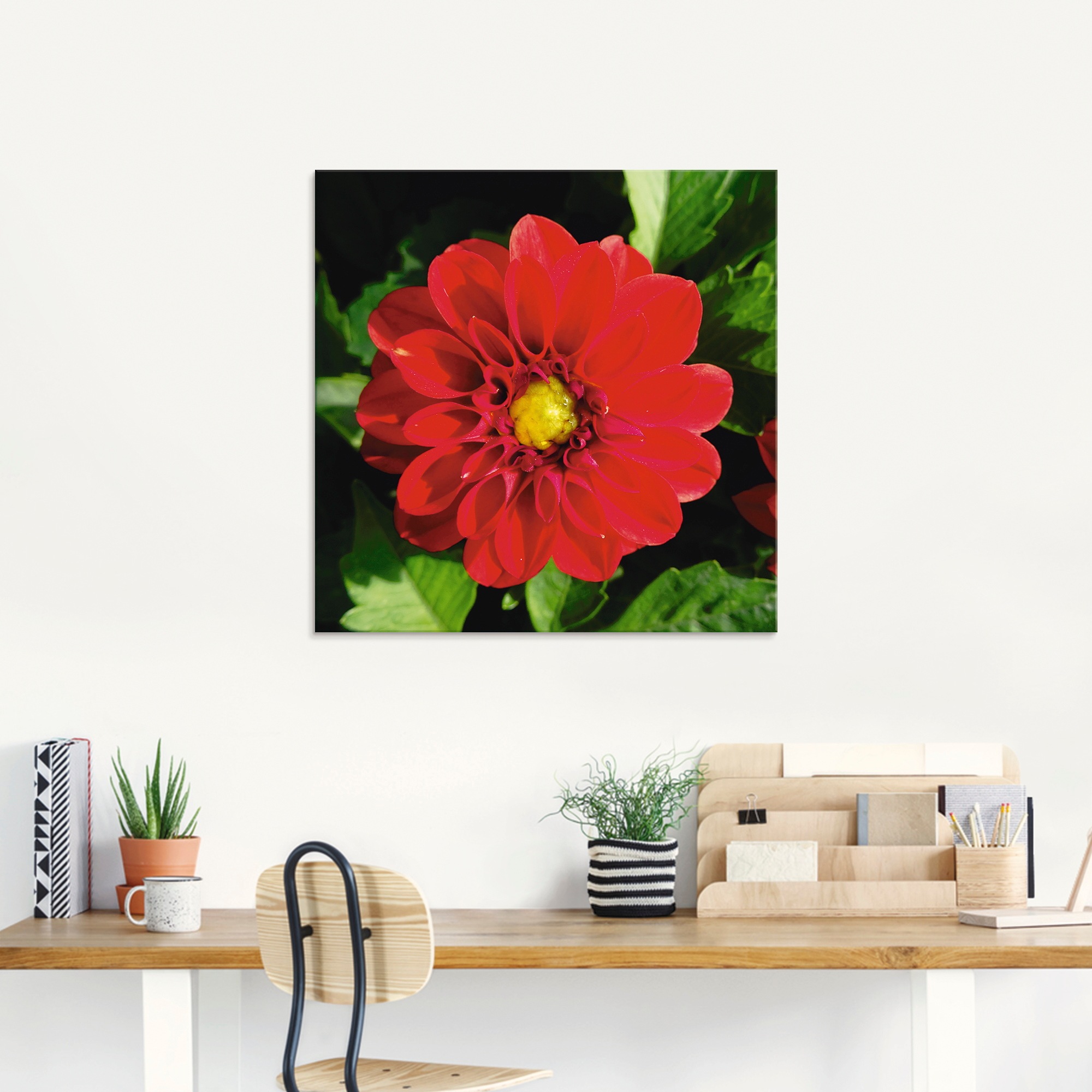 Artland Glasbild »Rote Dahlienblüte«, Blumen, (1 St.), in verschiedenen Größen