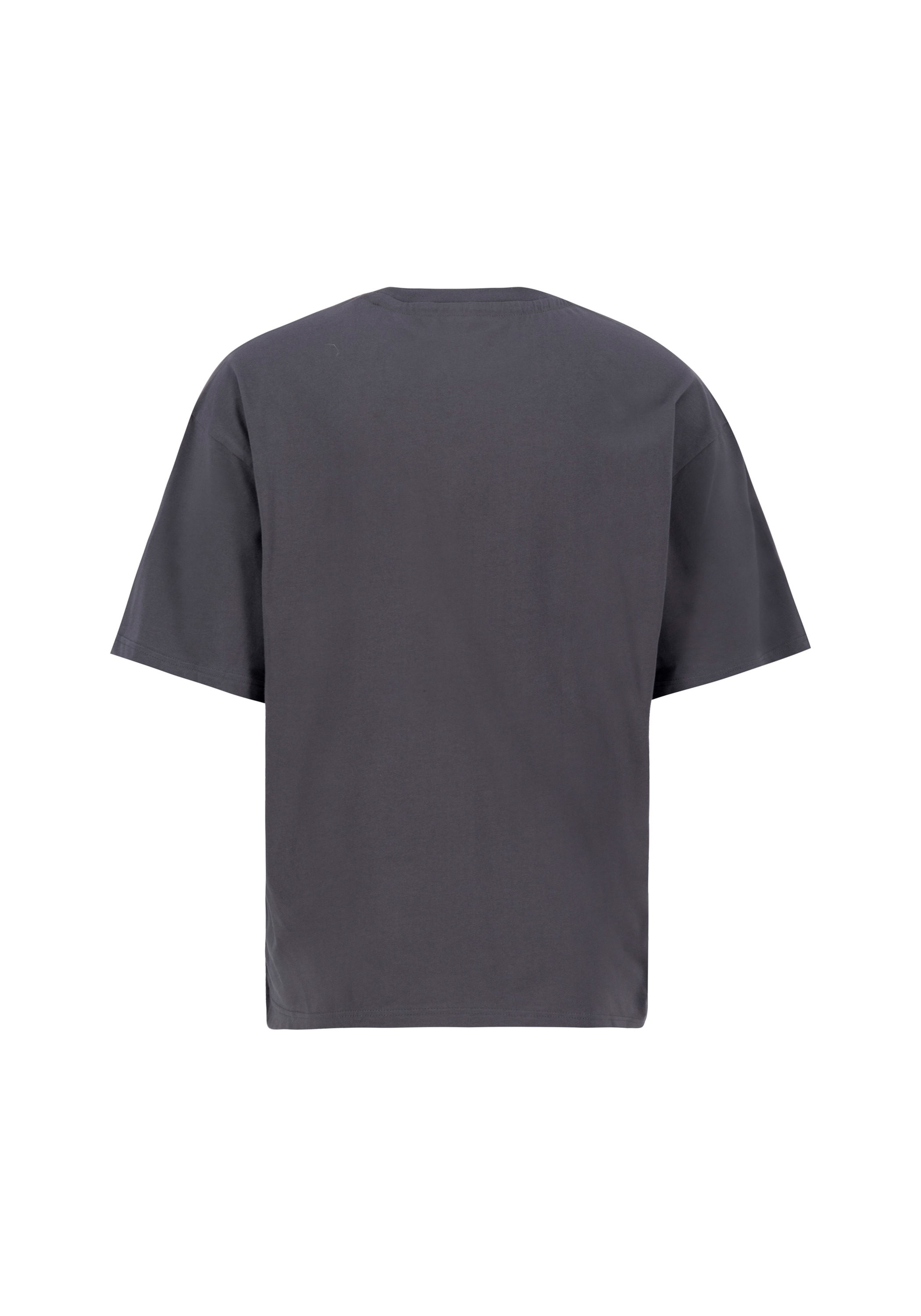 Alpha Industries T-Shirt »Metal Plate T-Shirt«