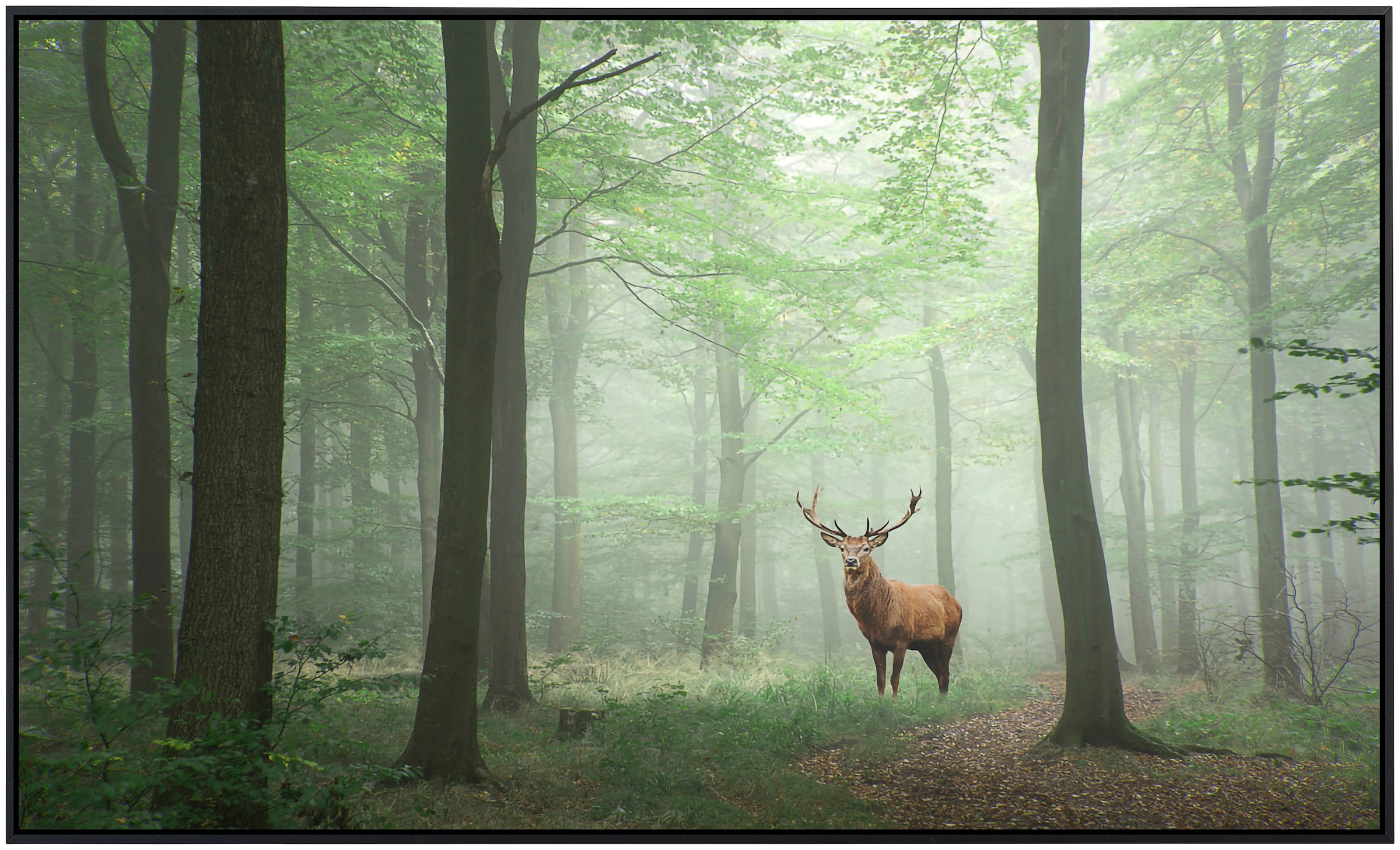 Papermoon Infrarotheizung »Hirsch im Wald«, sehr angenehme Strahlungswärme