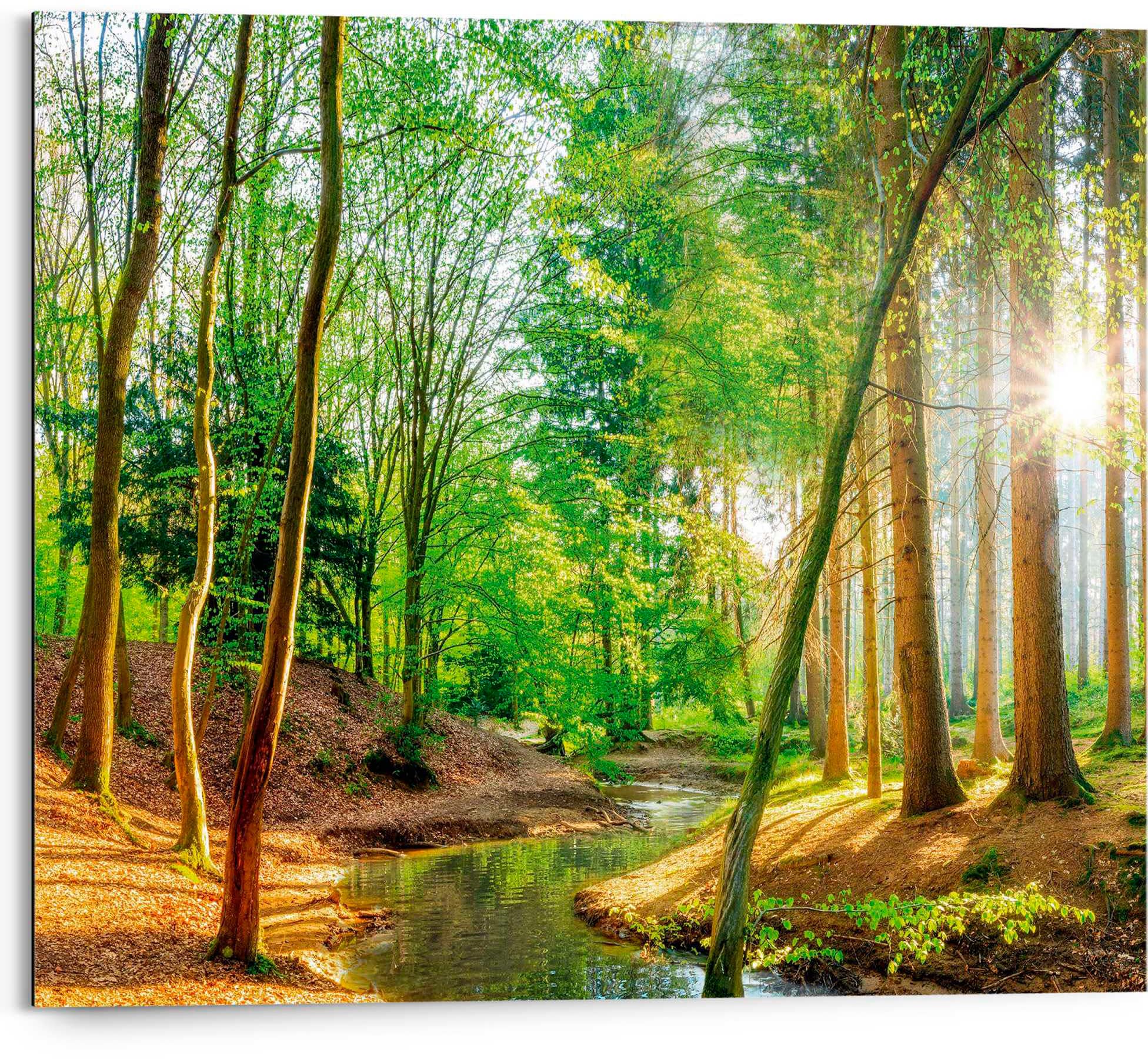 Wald« Reinders! Deco-Panel kaufen | »Sonniger BAUR