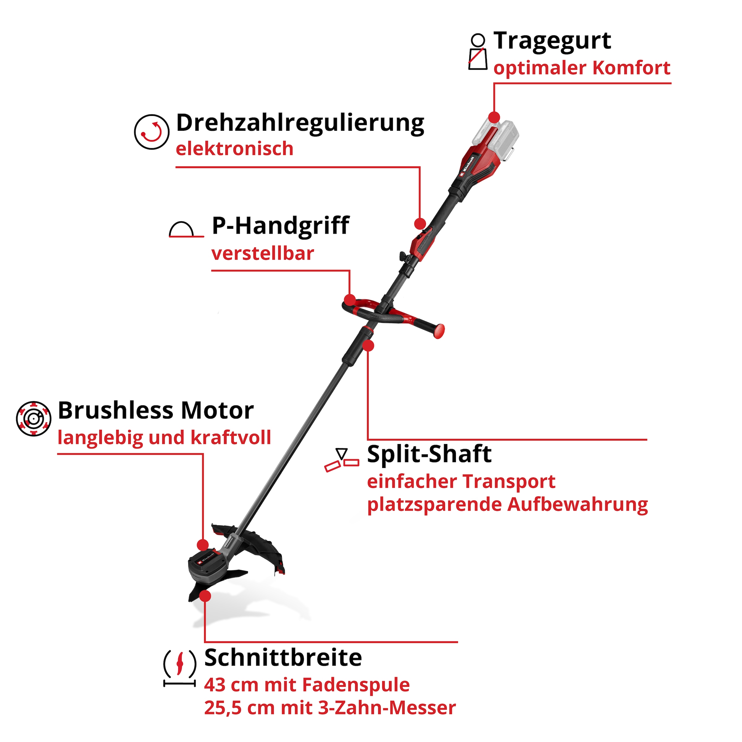 Einhell Akku-Motorsense »GP-BC 36/430 Li P BL-Solo«, ohne Akku und Ladegerät