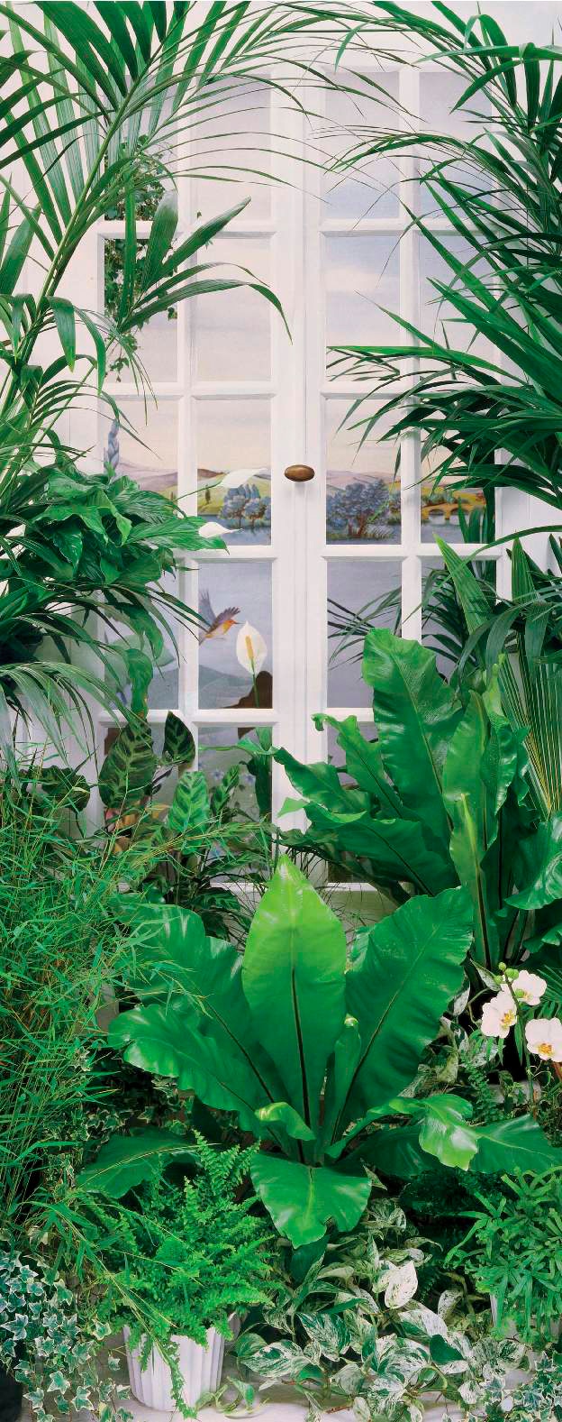 Papermoon "Flower Window - Türtapete" matt