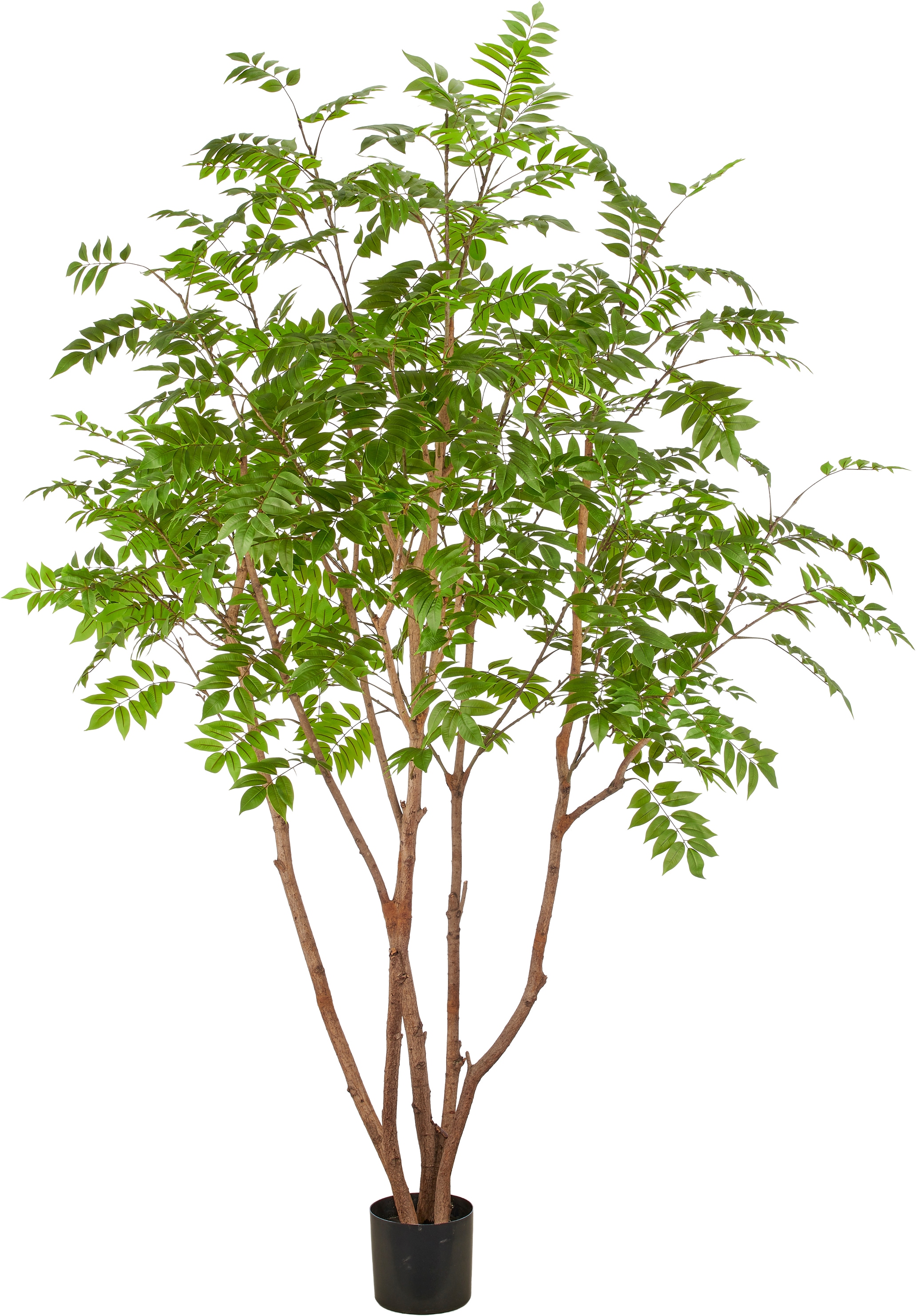 Creativ green Kunstbaum "Toxicodendron" in beeindruckender Größe