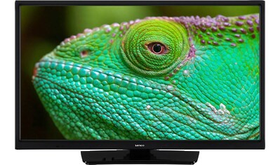 Lenco LED-Fernseher »LED-2463BK - Android-Smart-TV«, 61 cm/24 Zoll, HD, Smart-TV kaufen