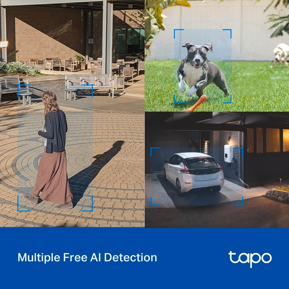 TP-Link Überwachungskamera »Tapo C520WS Outdoor Pan/Tilt Security IP«, Außenbereich