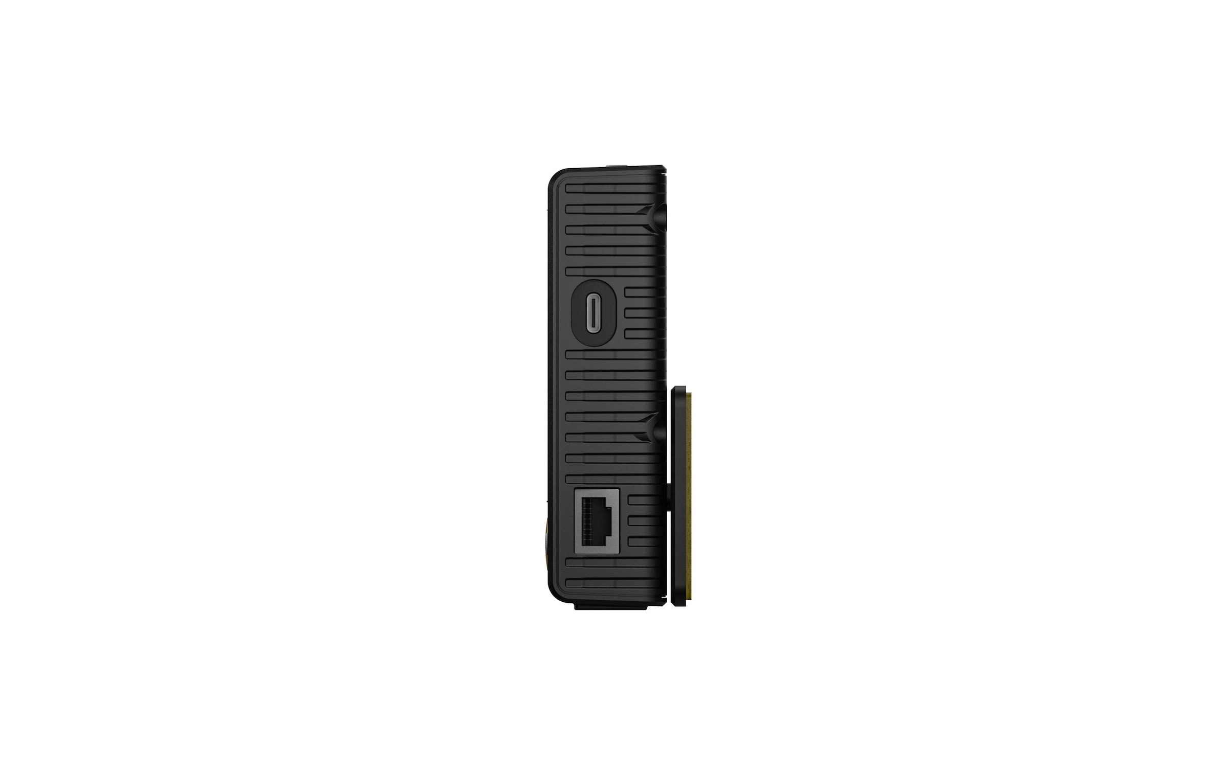 Ecoflow Fernbedienung »DELTA Pro«