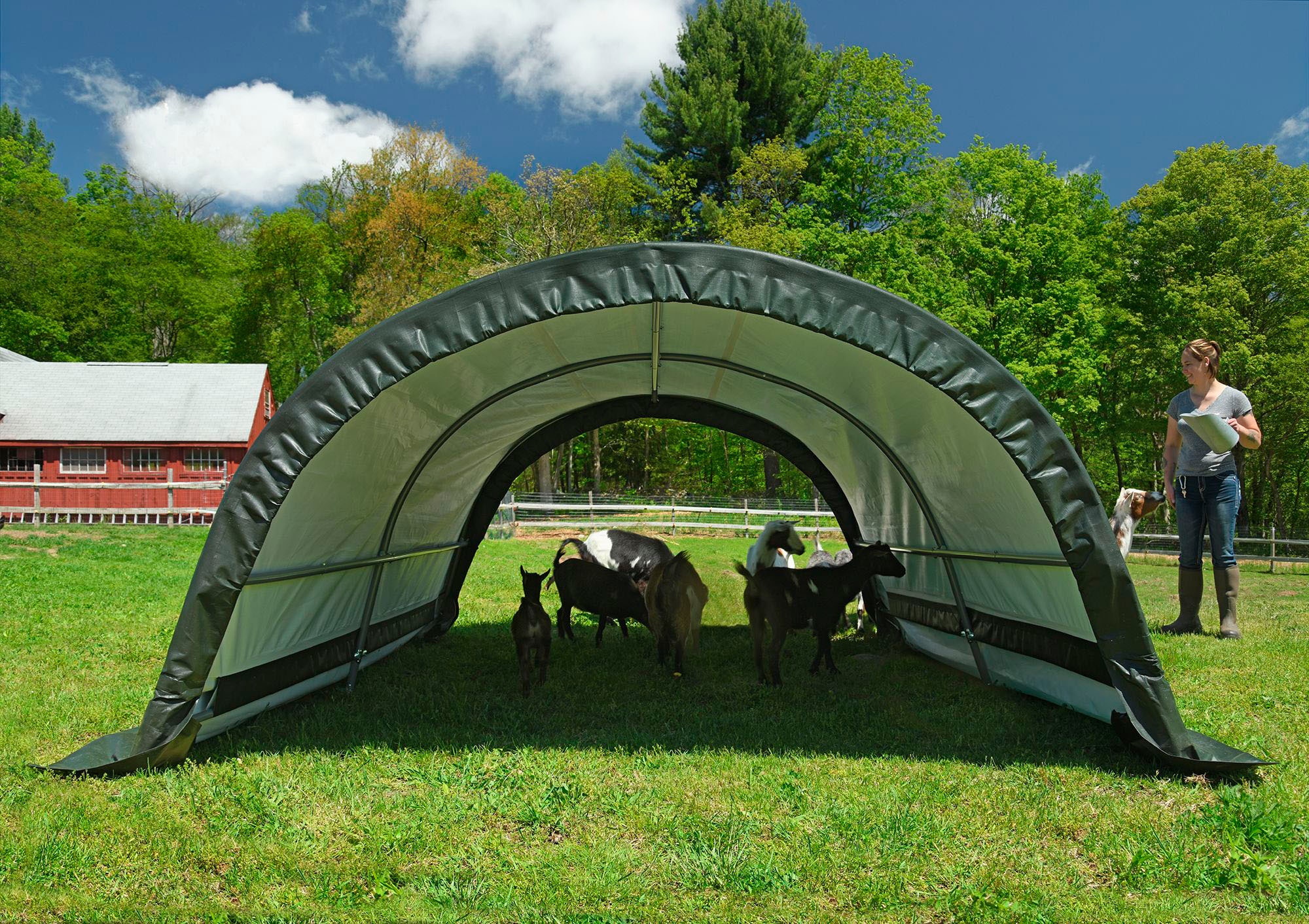 ShelterLogic Foliengerätehaus »Weidezelt Run-In-Shed«, Grün