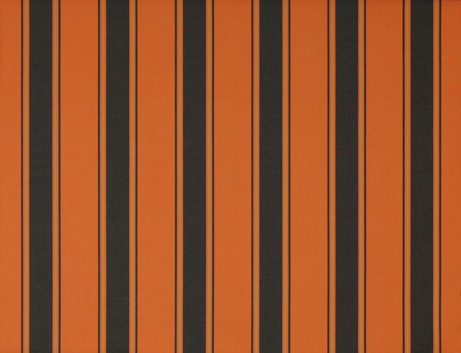 Wismar Kassettenmarkise »Classic S-Compact«, Breite: 500 cm, Ausfall: 250 cm