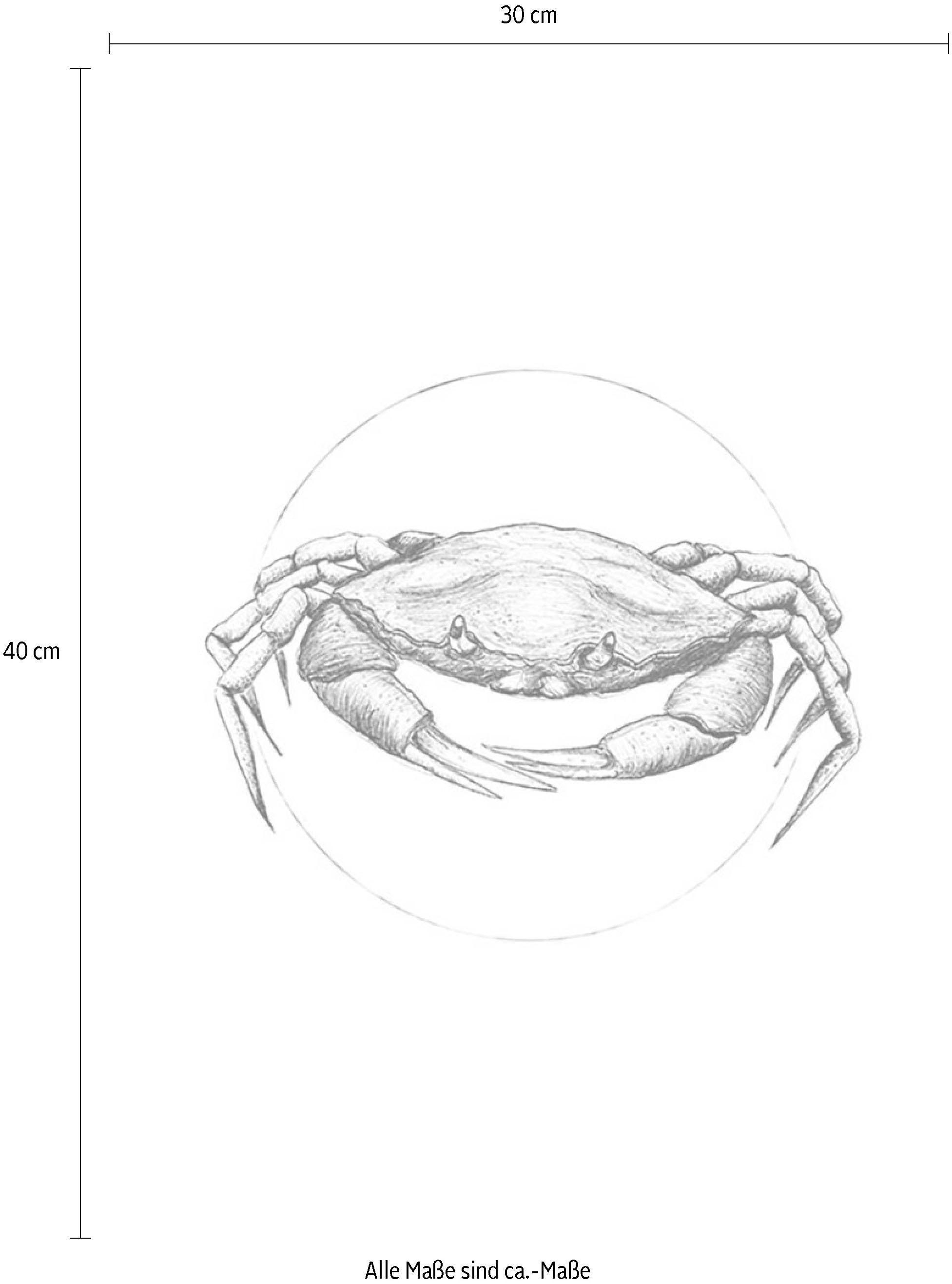 Tiere, (1 »Crab White«, Kinderzimmer, St.), BAUR | Poster Wohnzimmer Schlafzimmer, Komar