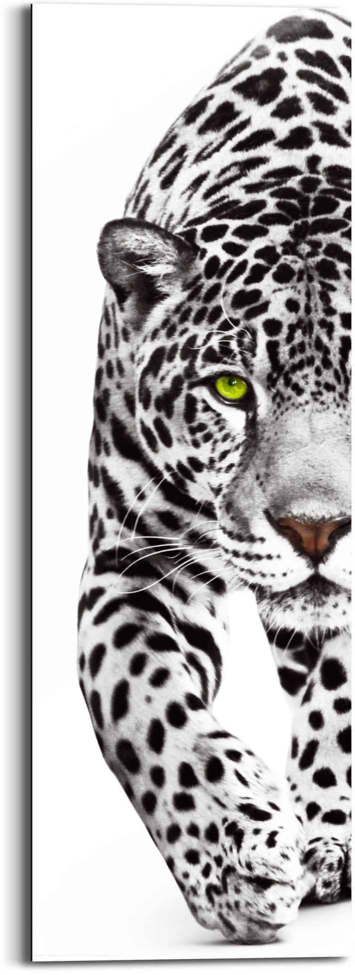Reinders! Wandbild Gefleckt«, (1 BAUR Panther Kräftig - »Wandbild - kaufen | St.) Leopard - Raubtier Leopard