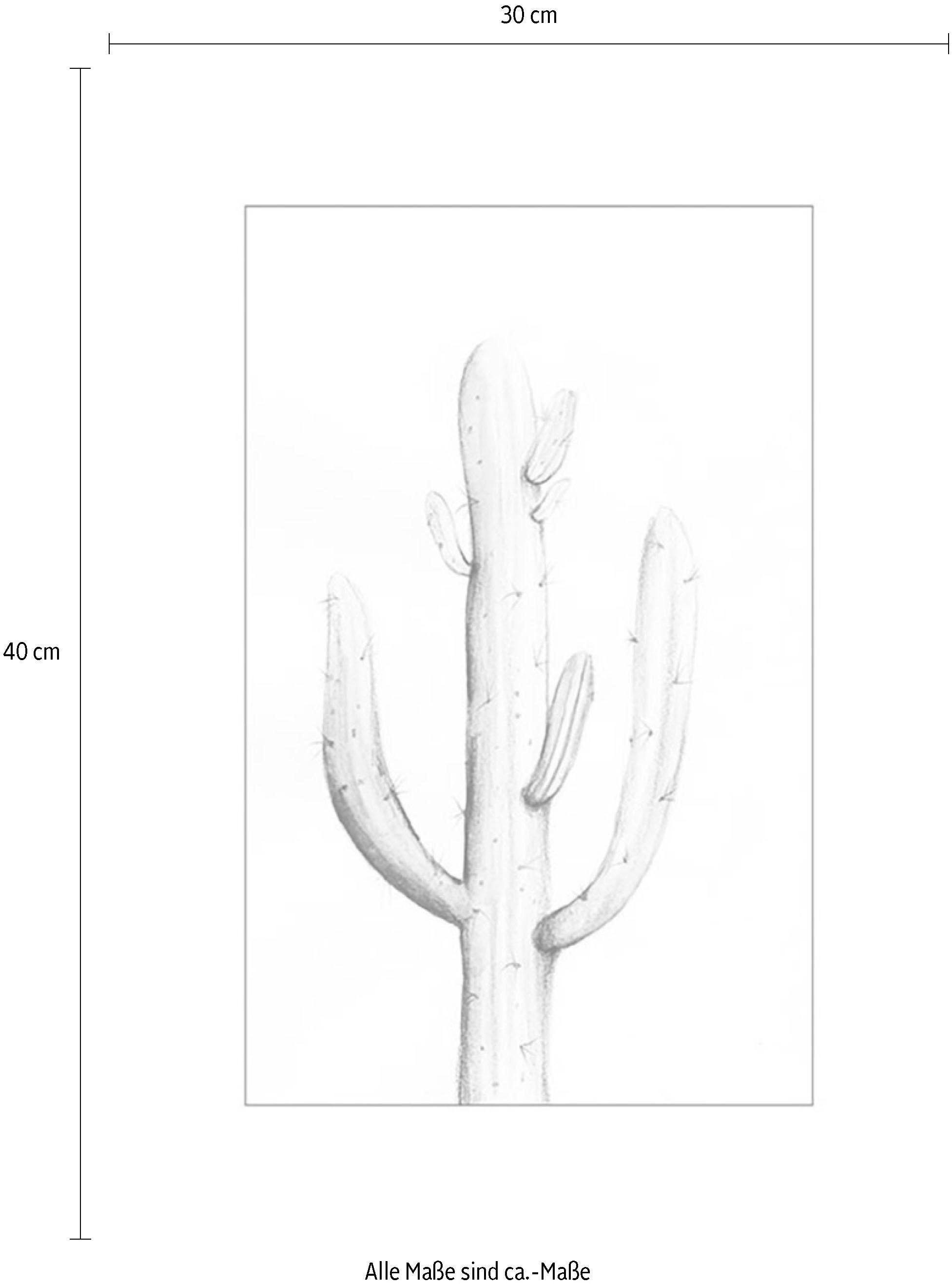 Komar Bild »Saguaro Watercolor« Blätter | Pflanzen 1 Stk. tlg. Wandbild zur Dekoration - ohne Rahmen
