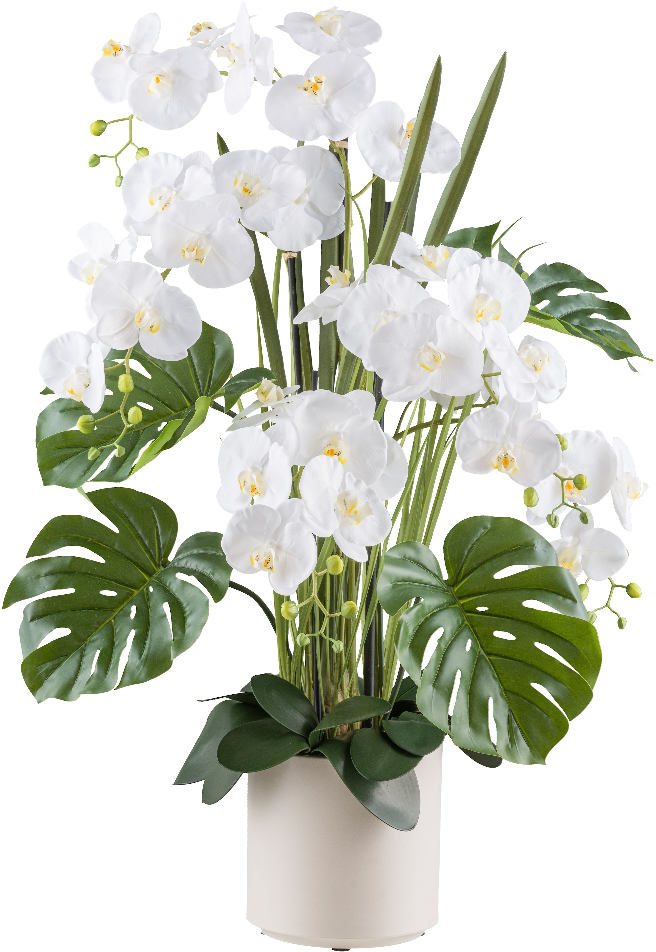 Creativ green Kunstorchidee "Orchidee Phalaenopsis", mit Gräsern und Splitphilo-Blättern