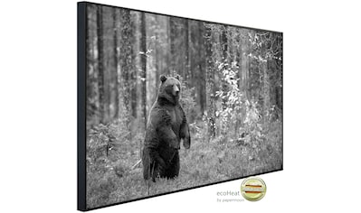 Papermoon Infrarotheizung »Bär im Wald Schwarz & Weiß«, sehr angenehme Strahlungswärme kaufen