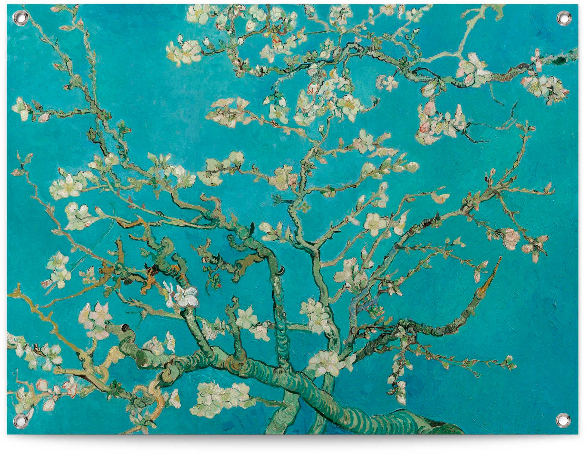Reinders "Mandelblüte - Vincent van Gogh" günstig online kaufen