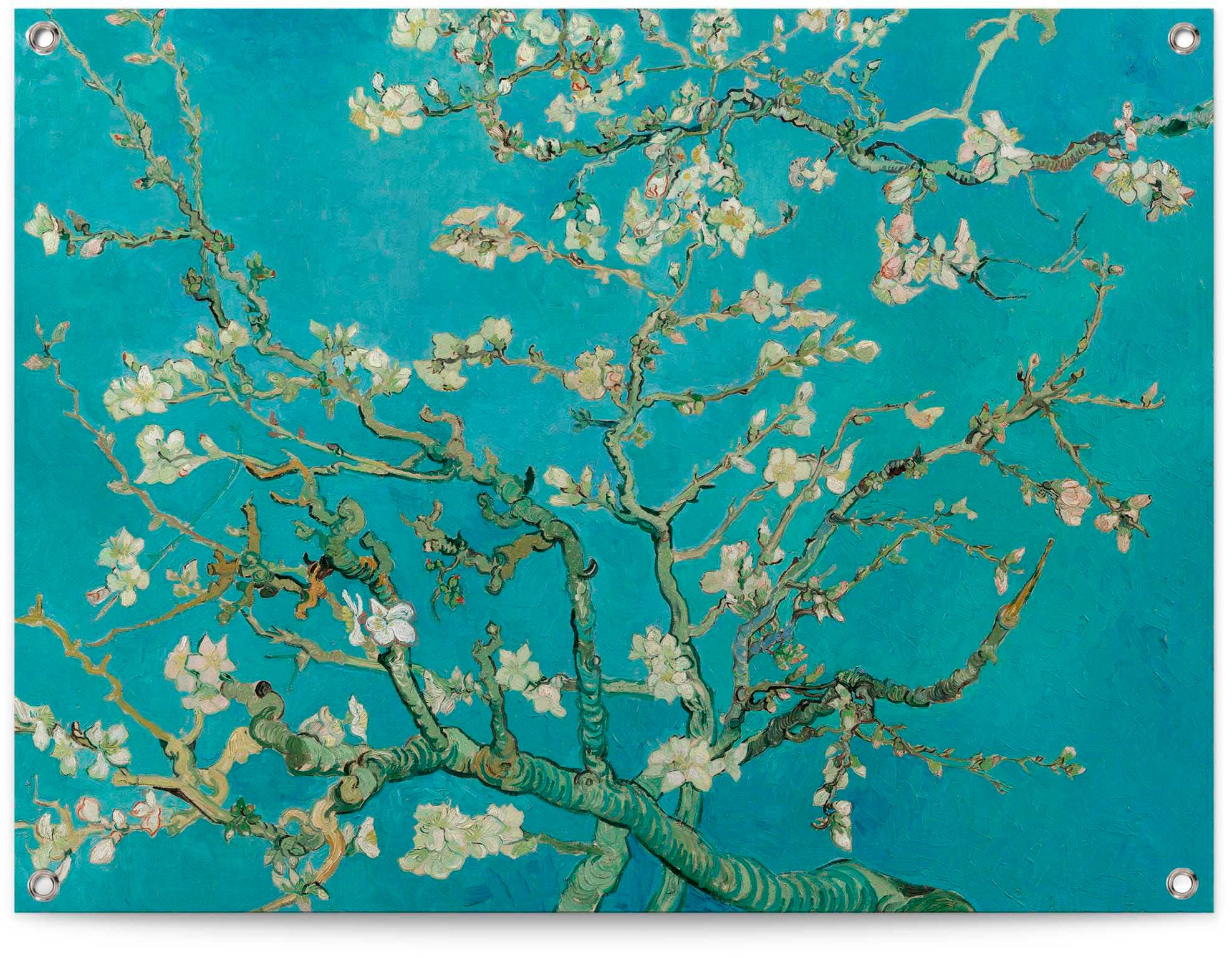 Reinders Poster "Mandelblüte - Vincent van Gogh" günstig online kaufen