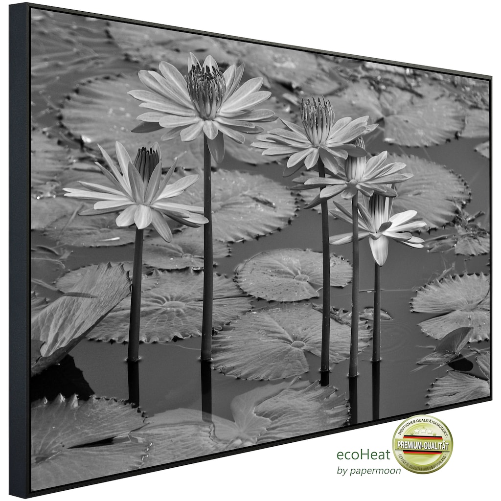 Papermoon Infrarotheizung »Seerosen, Teich, Blüten, Blätter Schwarz & Weiß«