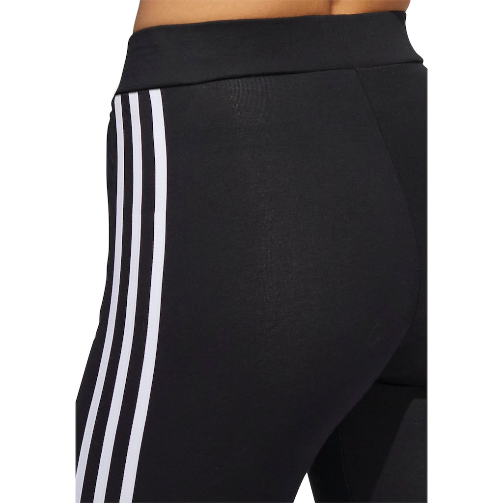 adidas Originals Leggings »ADICOLOR CLASSICS 3-STREIFEN«, (1 tlg.)