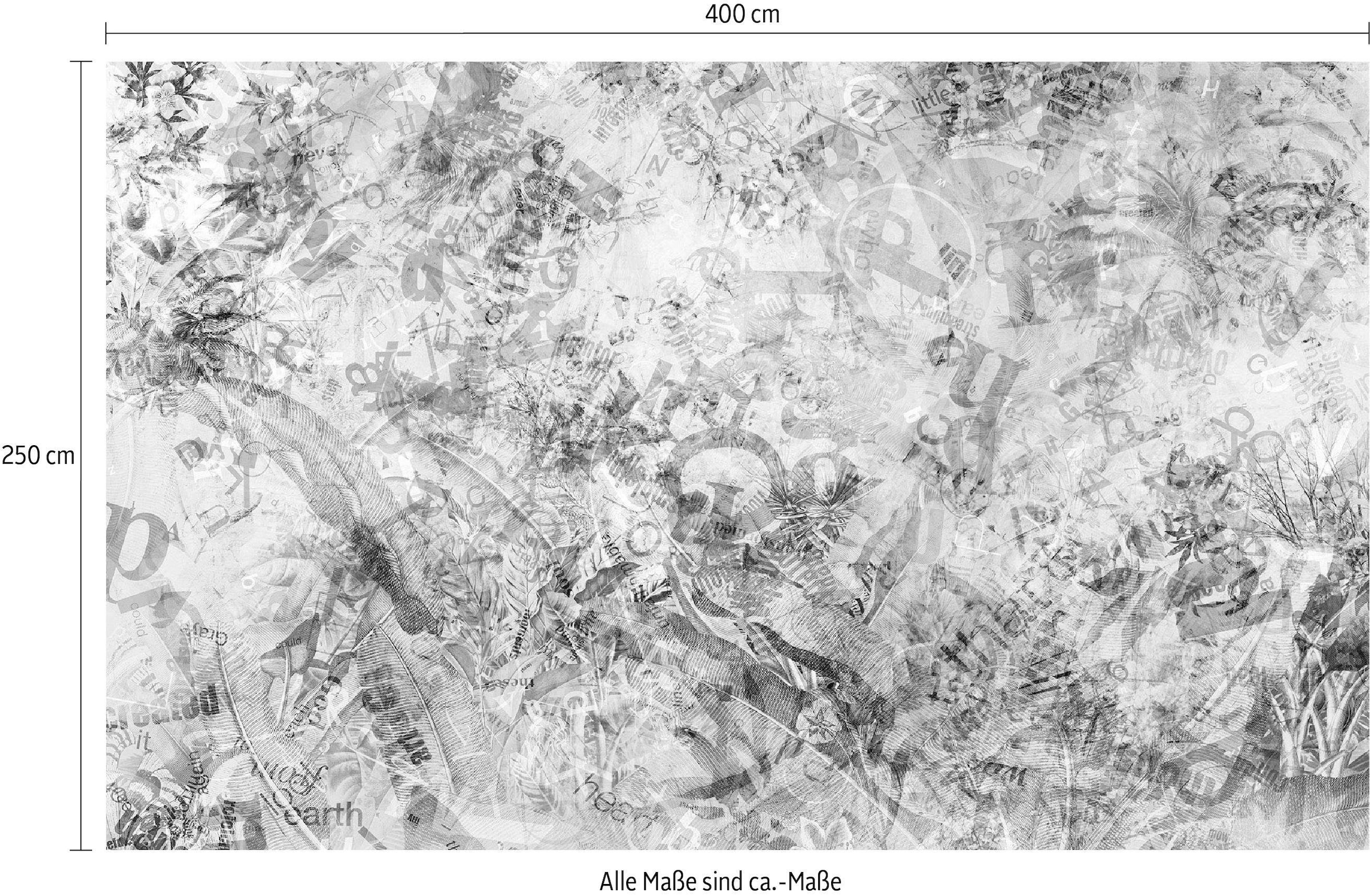 Komar Vliestapete »Stories«, 400x250 cm (Breite x Höhe), Vliestapete, 100 cm Bahnbreite