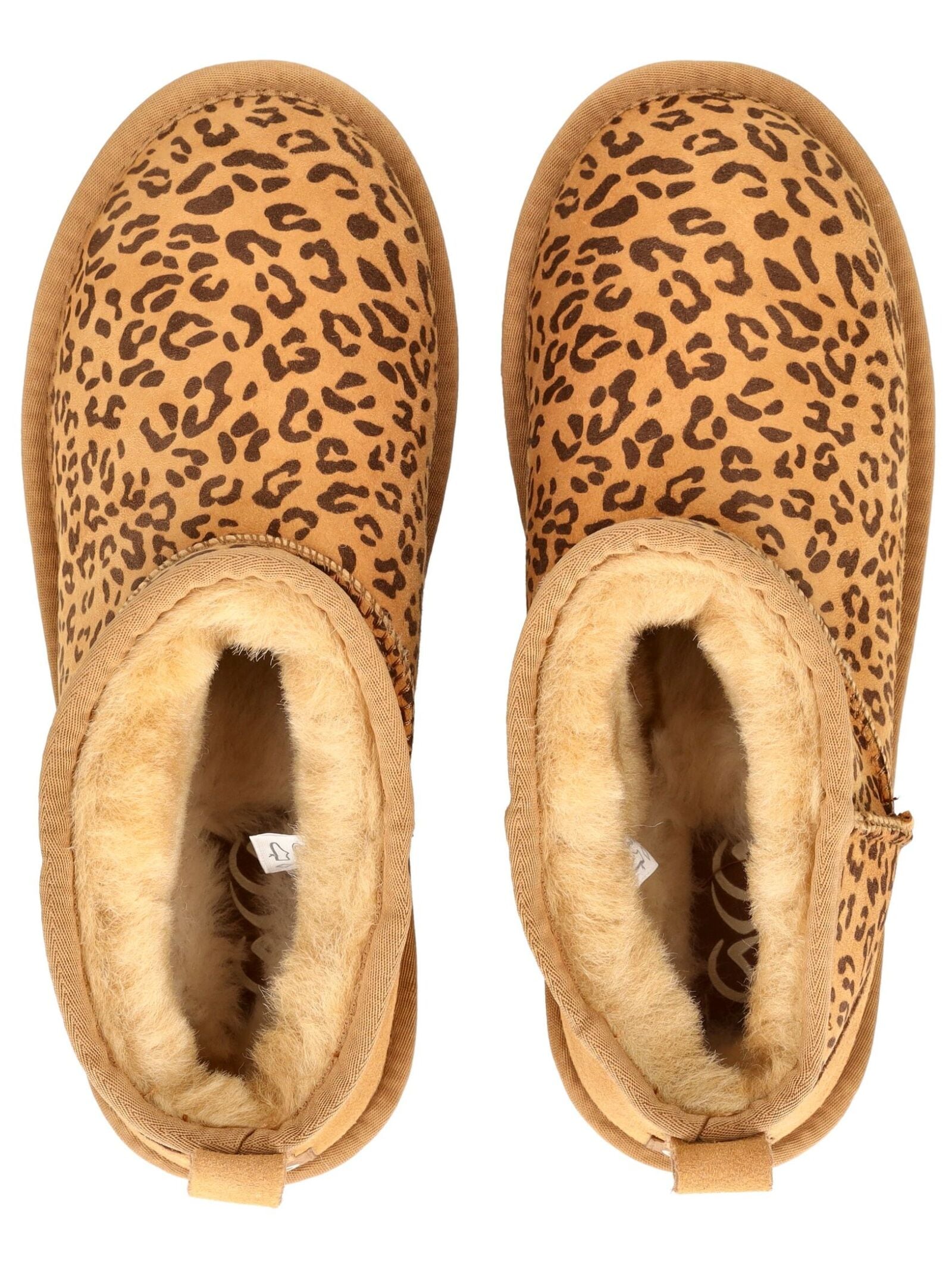 Ara Stiefelette »Ara Stiefelette Veloursleder«